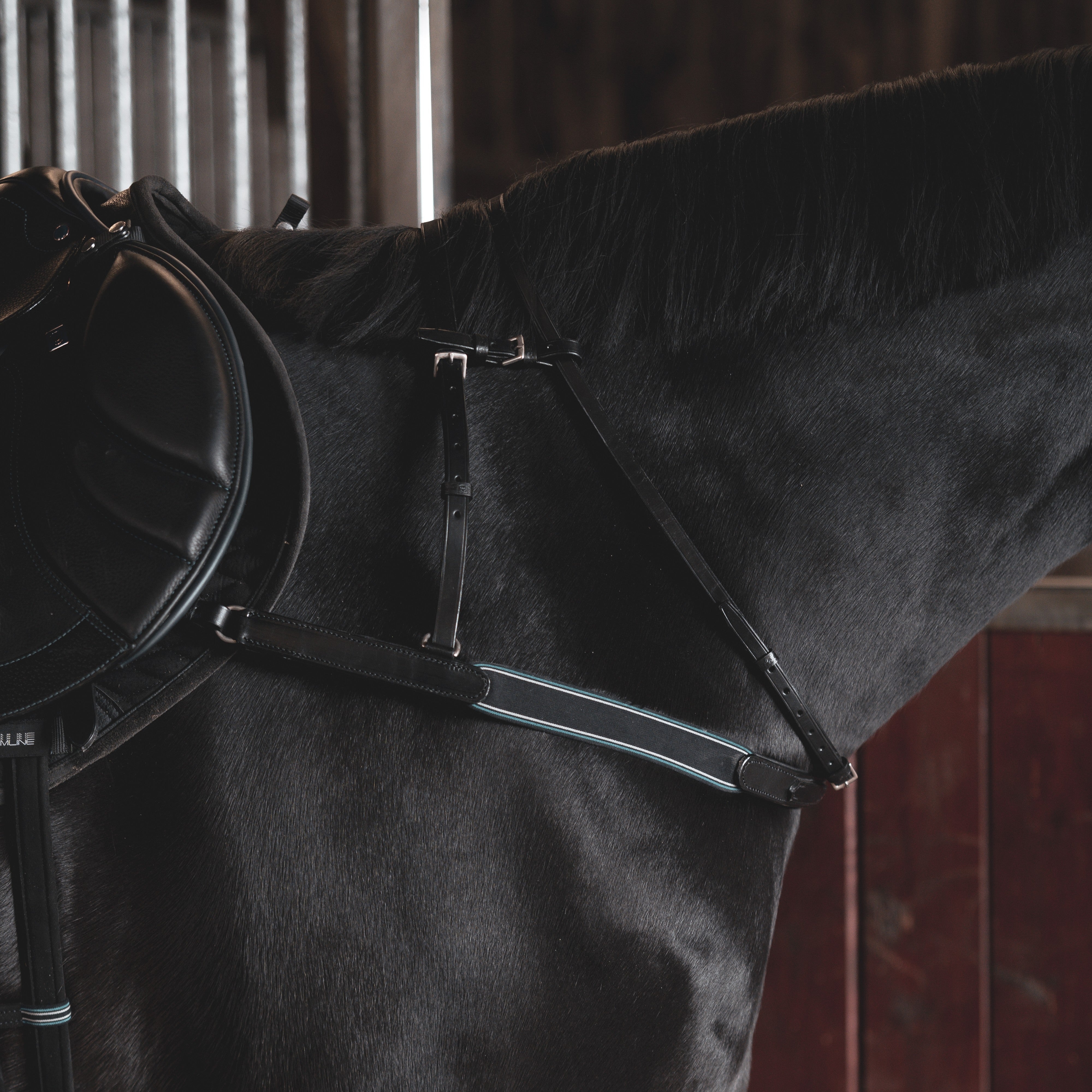 Poitrail Cheval Stubben Neuf - Avec Étiquettes (BNWT)