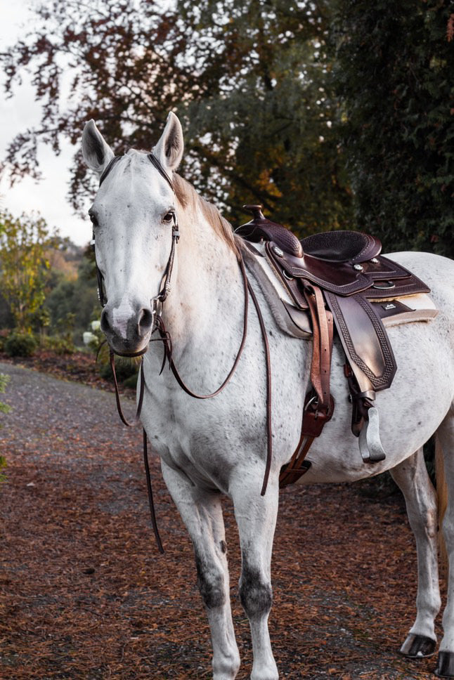 Equi-Soft® Western Girth
