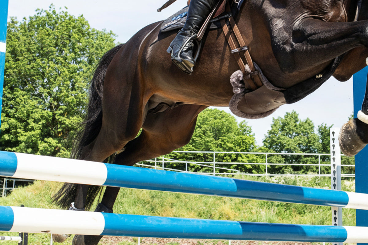 Stud Girth Equi-Soft