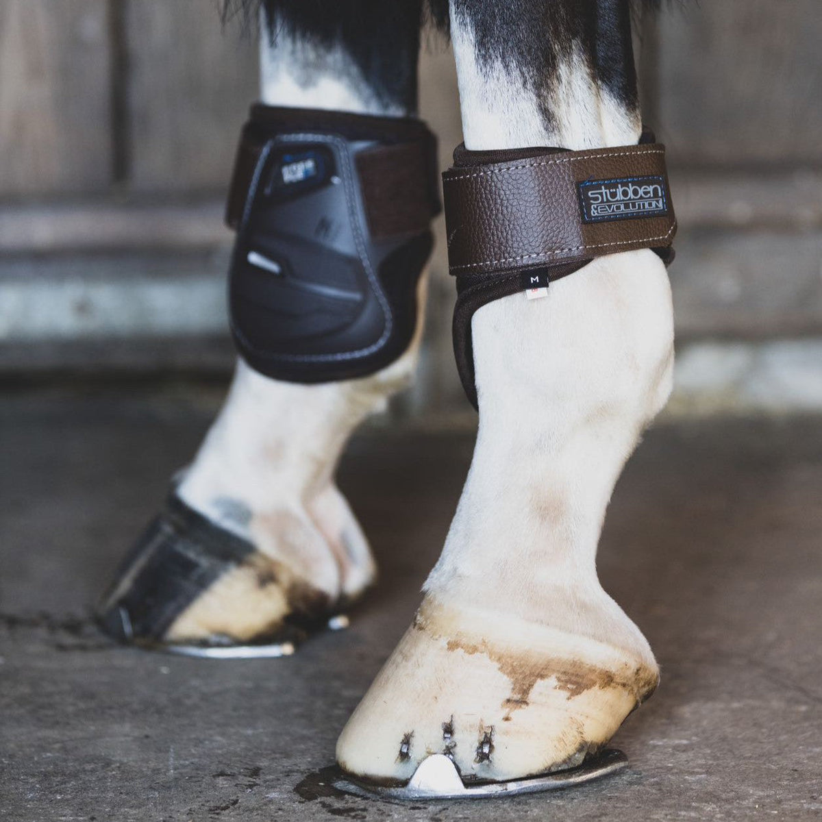 Fetlock Boots