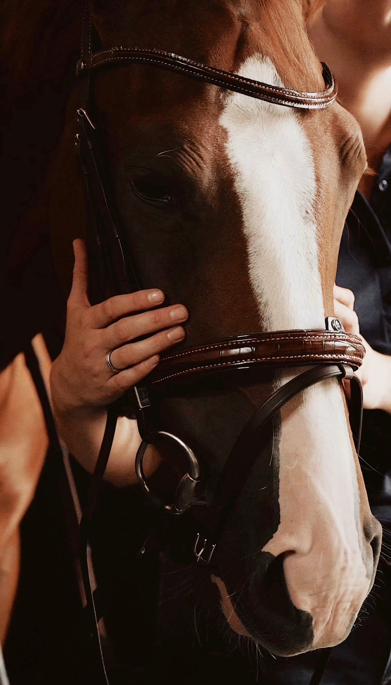 Bits for sensitve horses