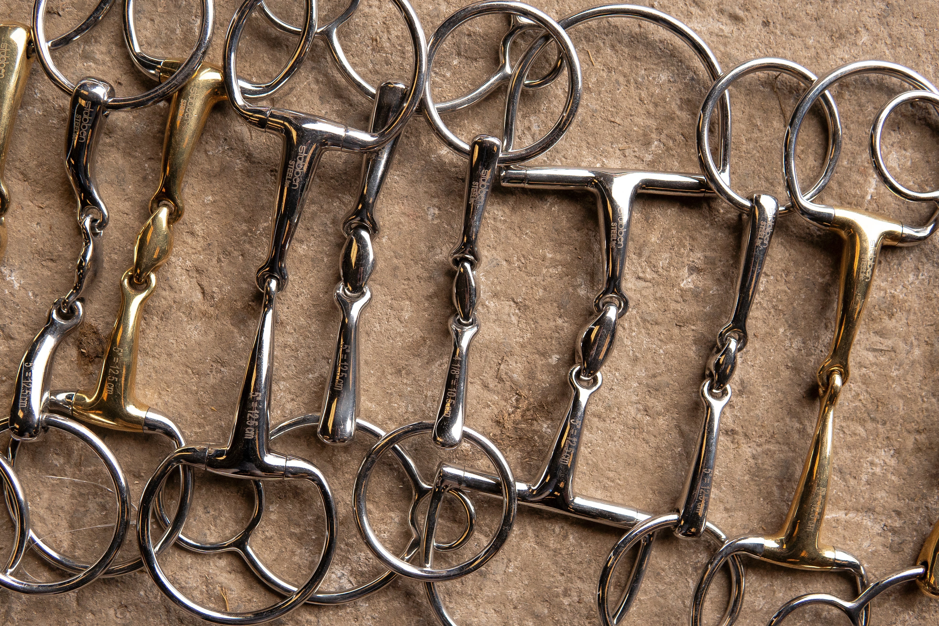 Bits for young horses