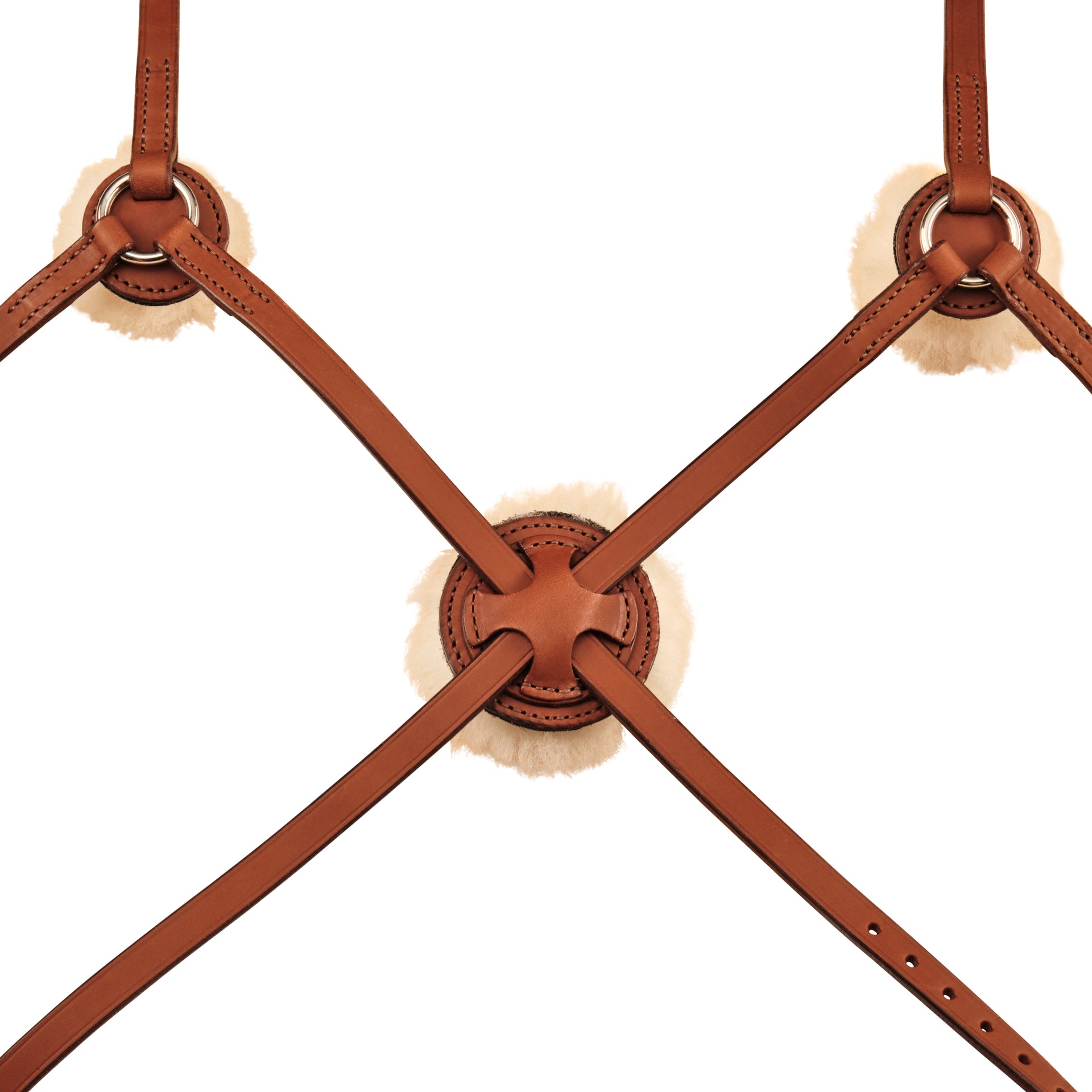 Mexikanisches Reithalfter