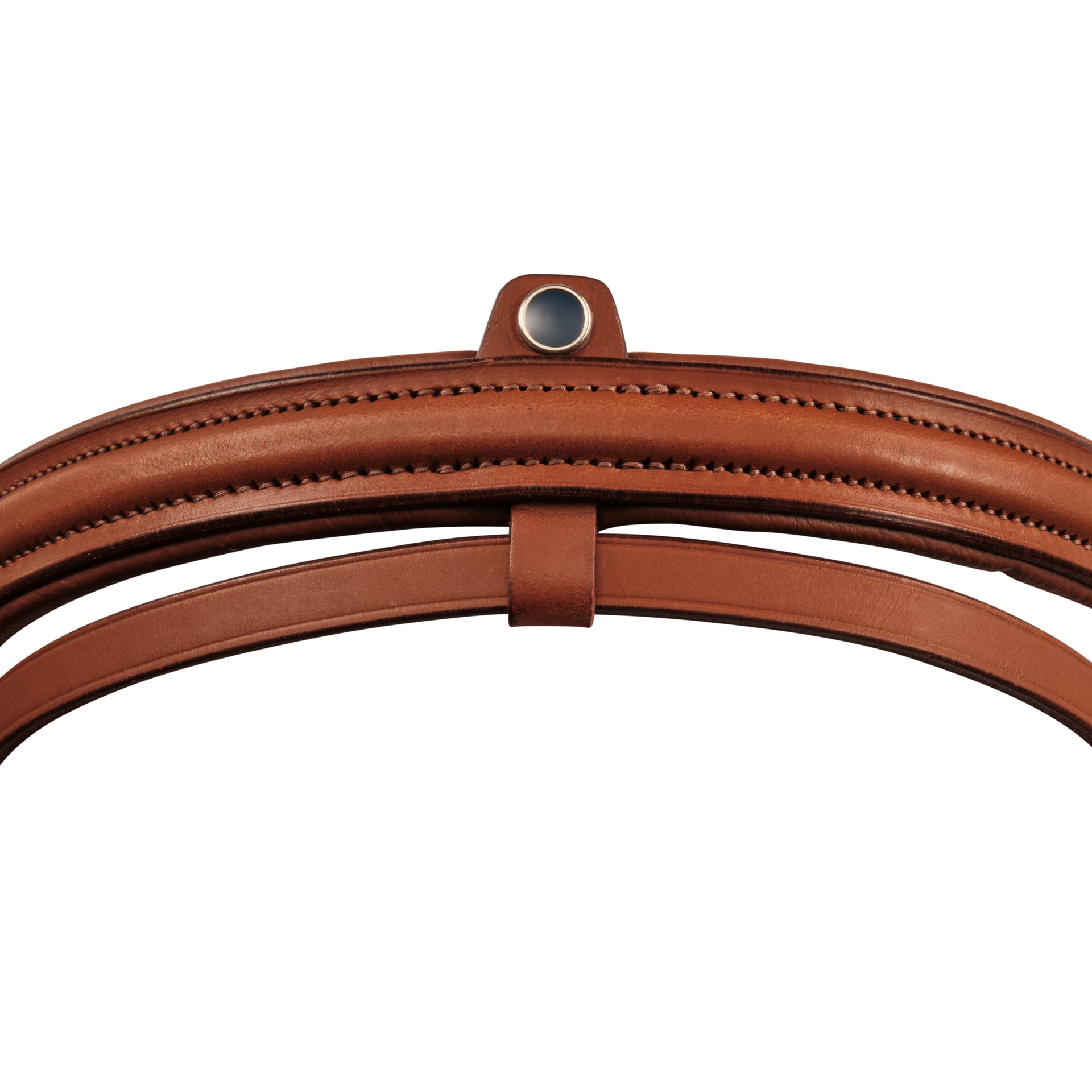 Englisch kombiniertes Reithalfter