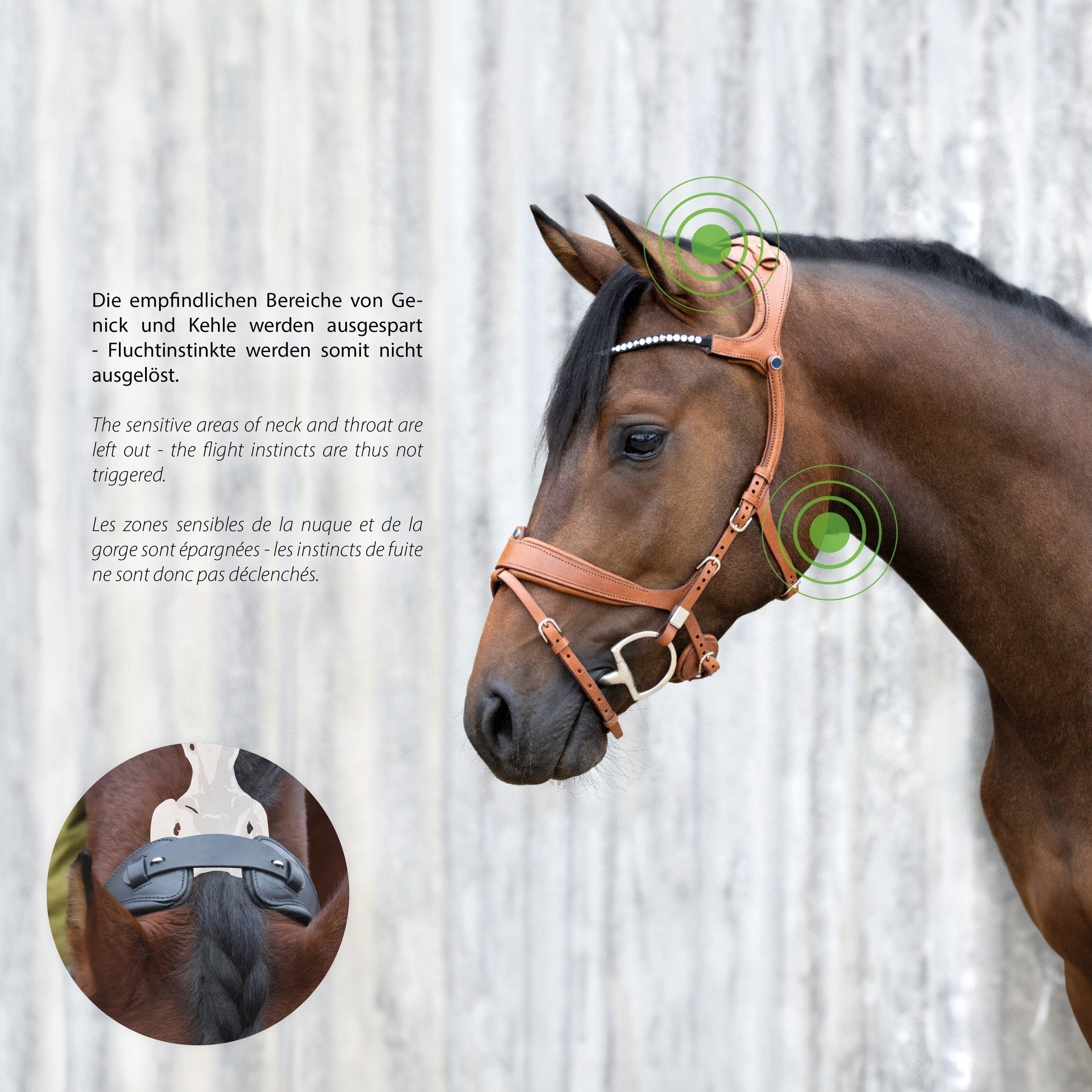 Snaffle Bridle Freedom II with Slide&Lock