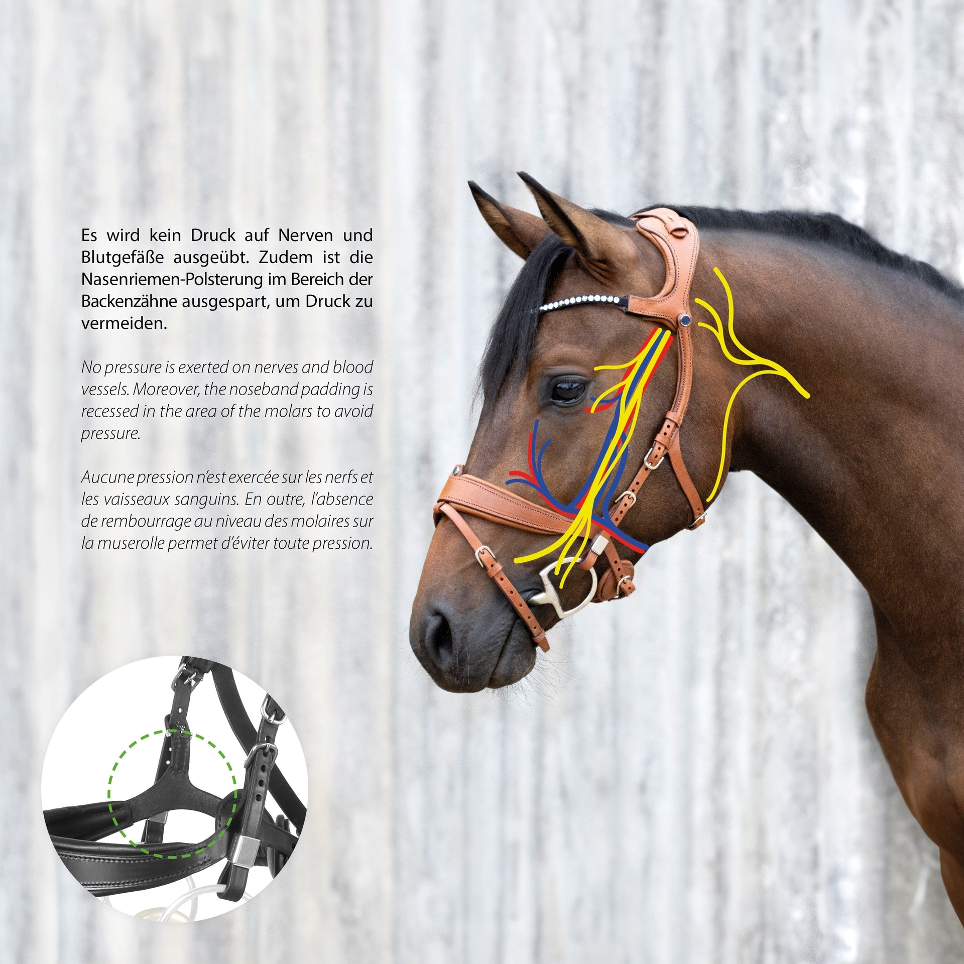 Snaffle Bridle Freedom II with Slide&Lock