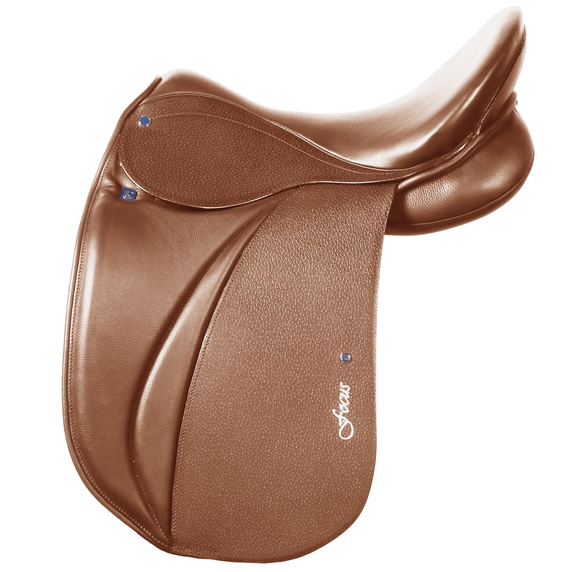 Icelandic Saddle BH Focus