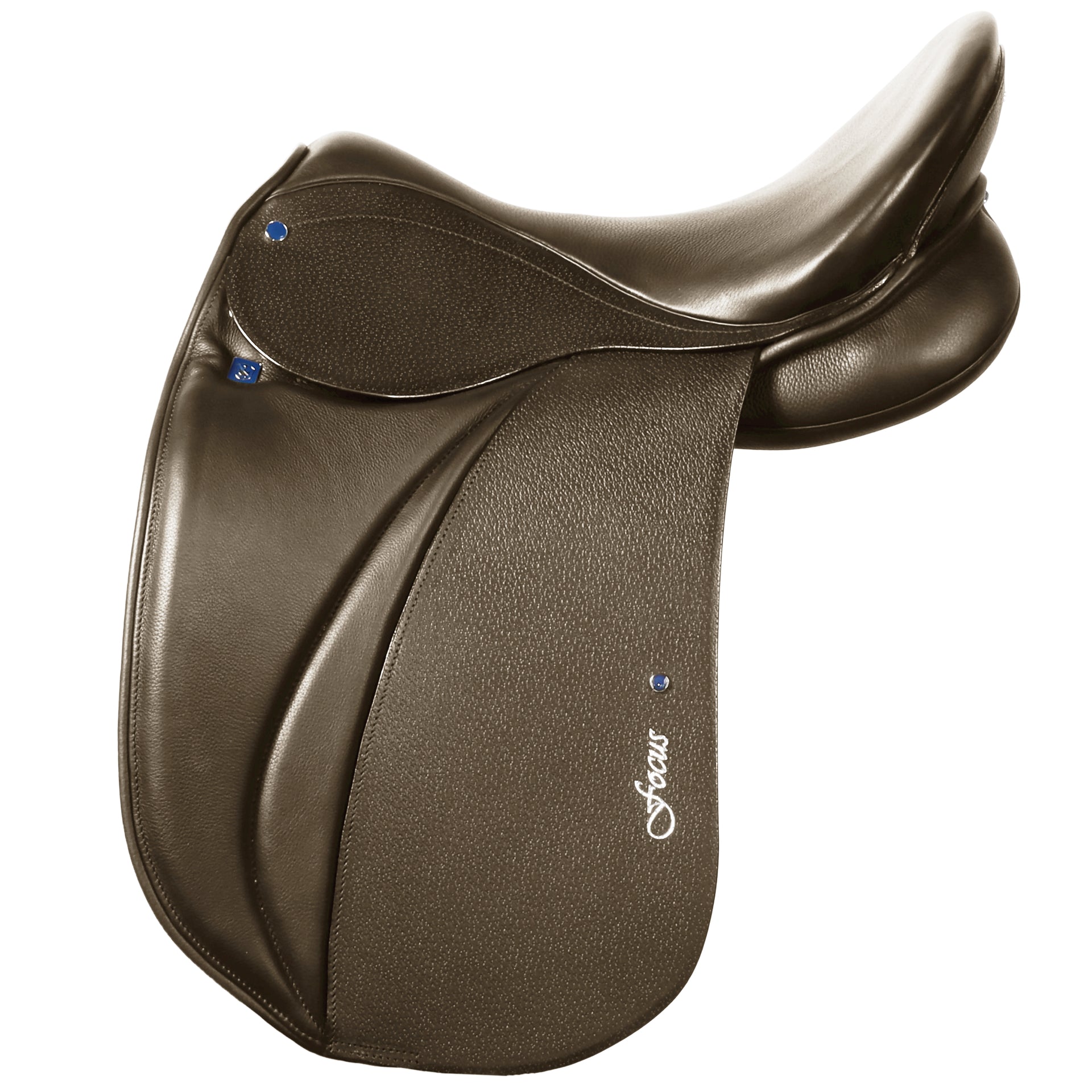 Icelandic Saddle BH Focus