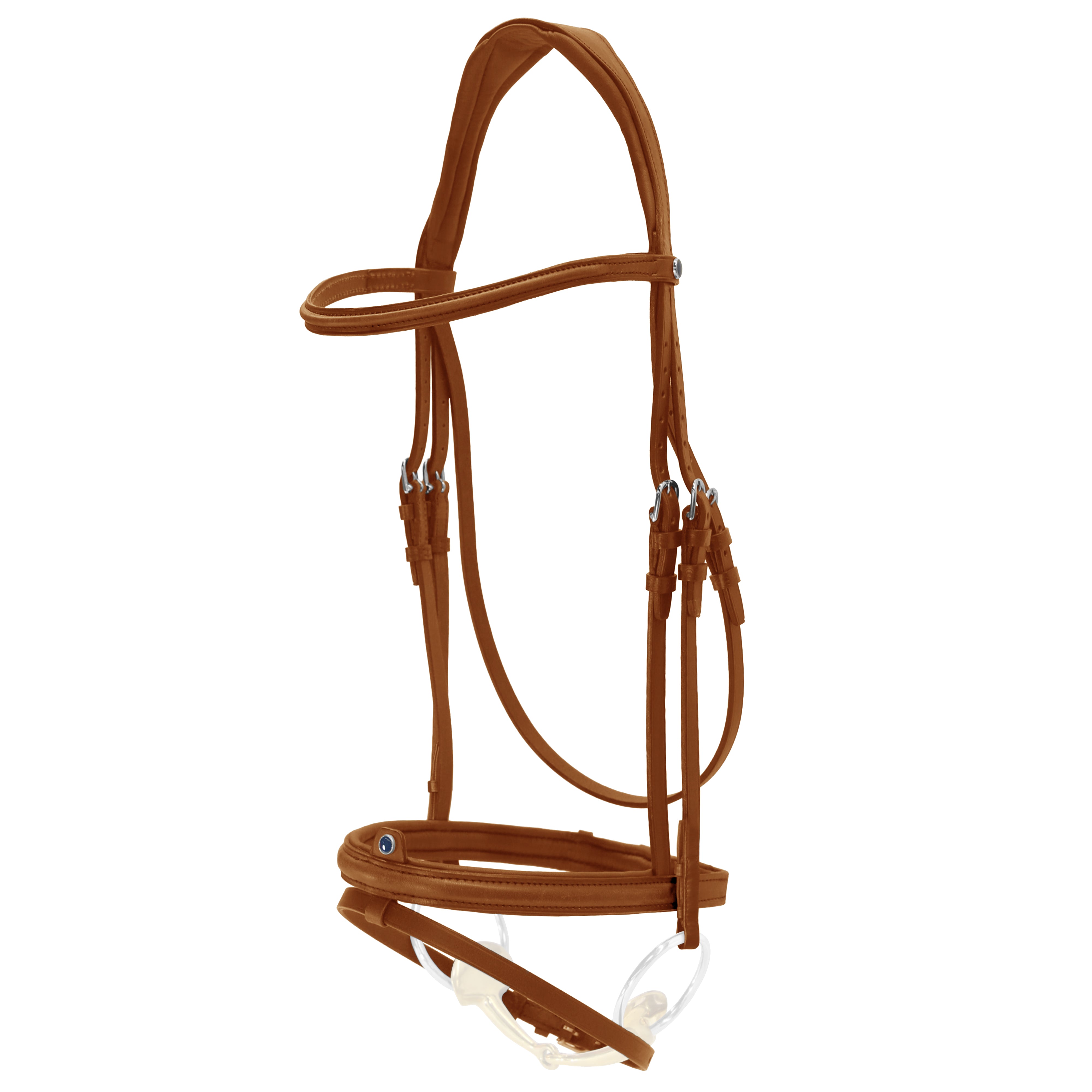 Bridle Sligo