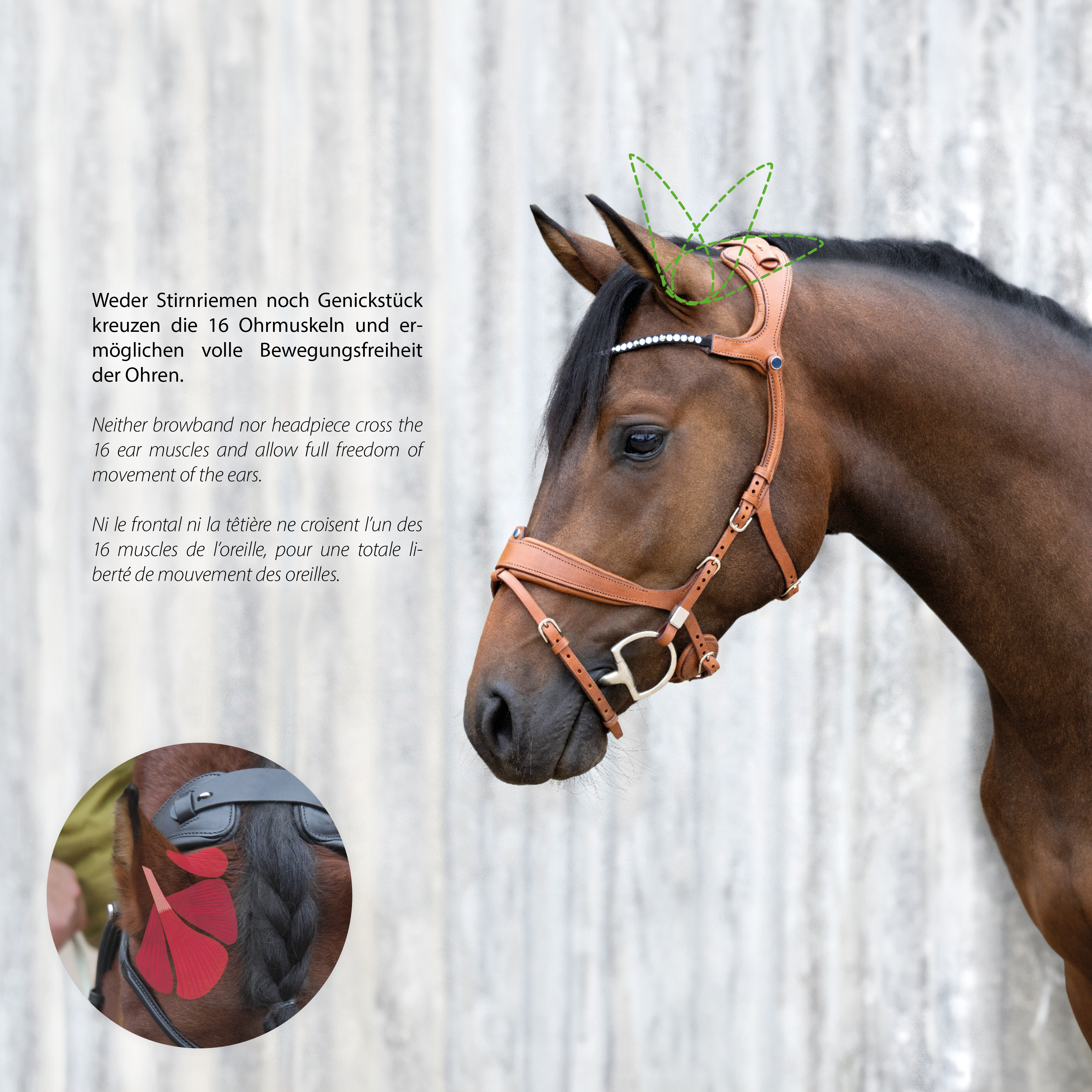 Freedom II Slide&Lock with crystal browband