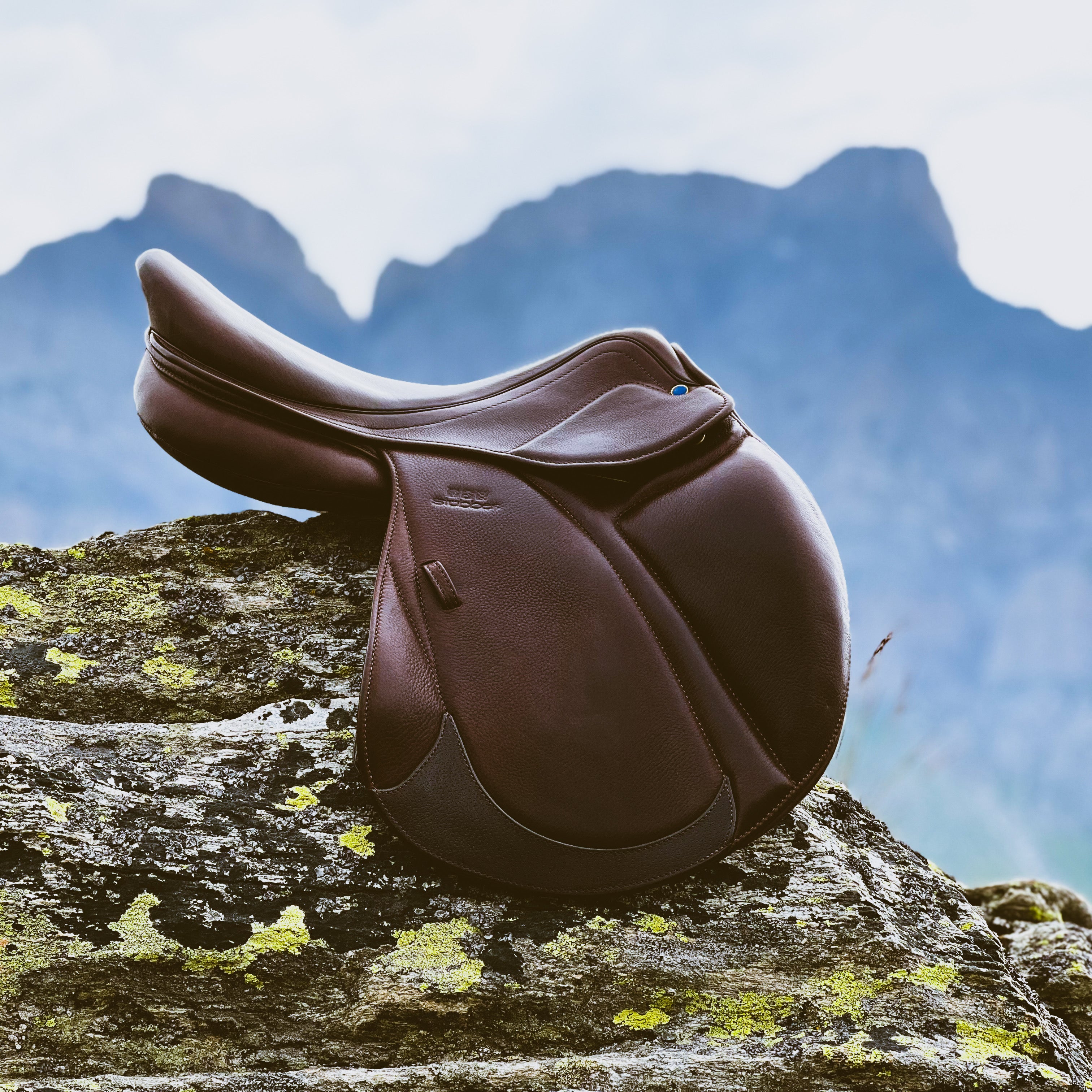 Jumping Saddle Aviator