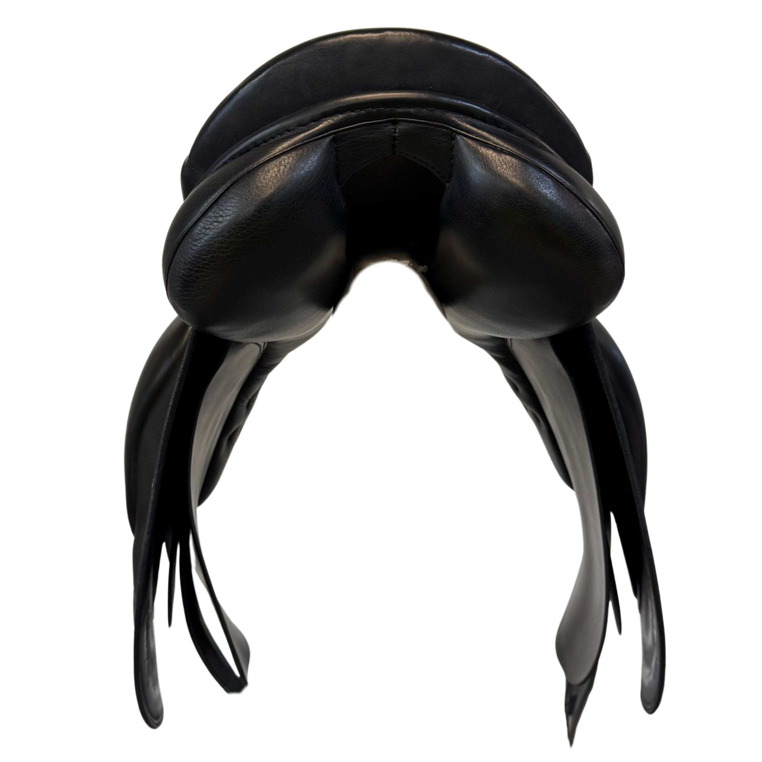 Icelandic Saddle  BH Focus M black
