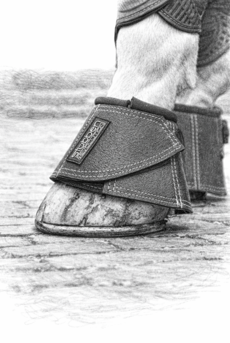 Professional`S Choice Spartan II Bottes de Cloche Moyennes, Noir, Small Professional`S Choice Spartan II Bottes de Cloche Moyennes, Noir, Small