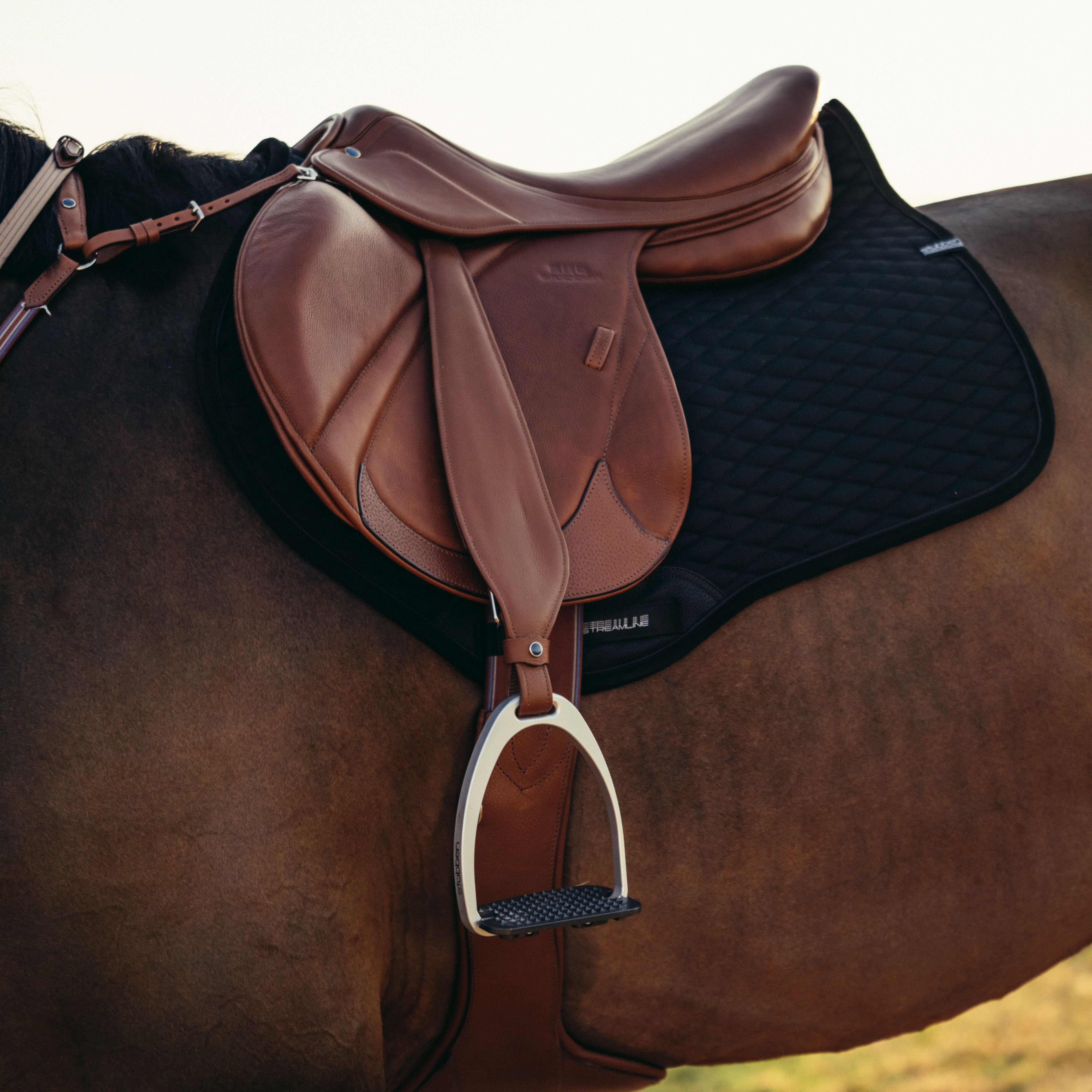 Jumping Saddle Aviator