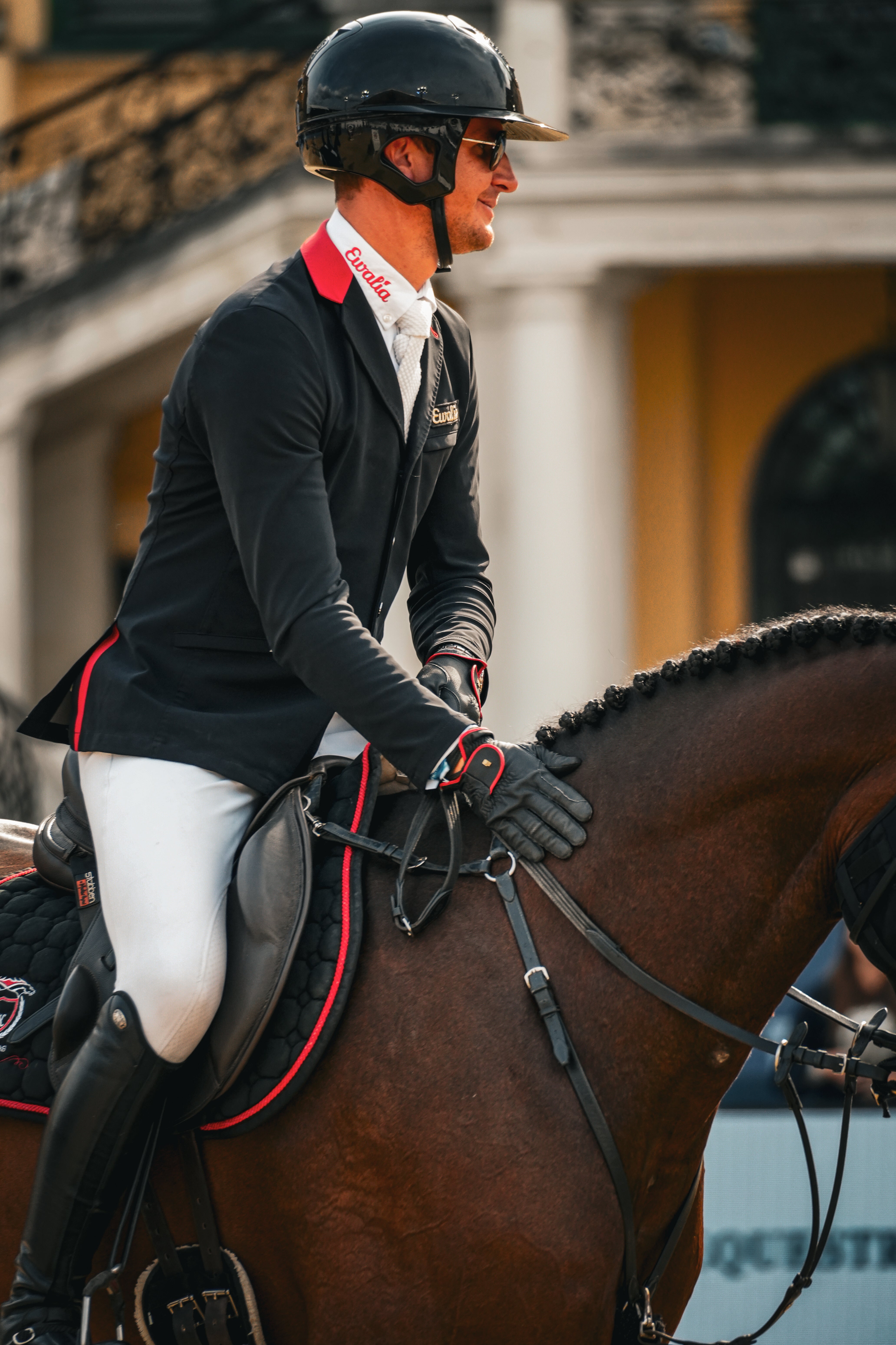 fahrradsattel reiten REVsport Sattel mit Sattelblatt – Stübben