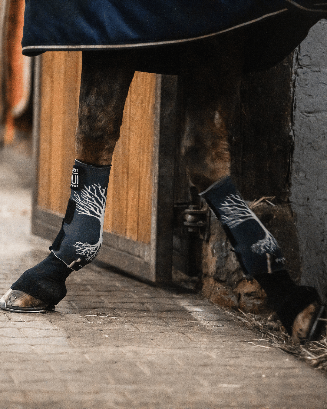 EQUI Compress Set Vorderbeine