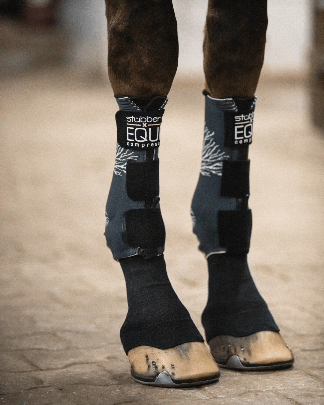EQUI Compress Set Vorderbeine