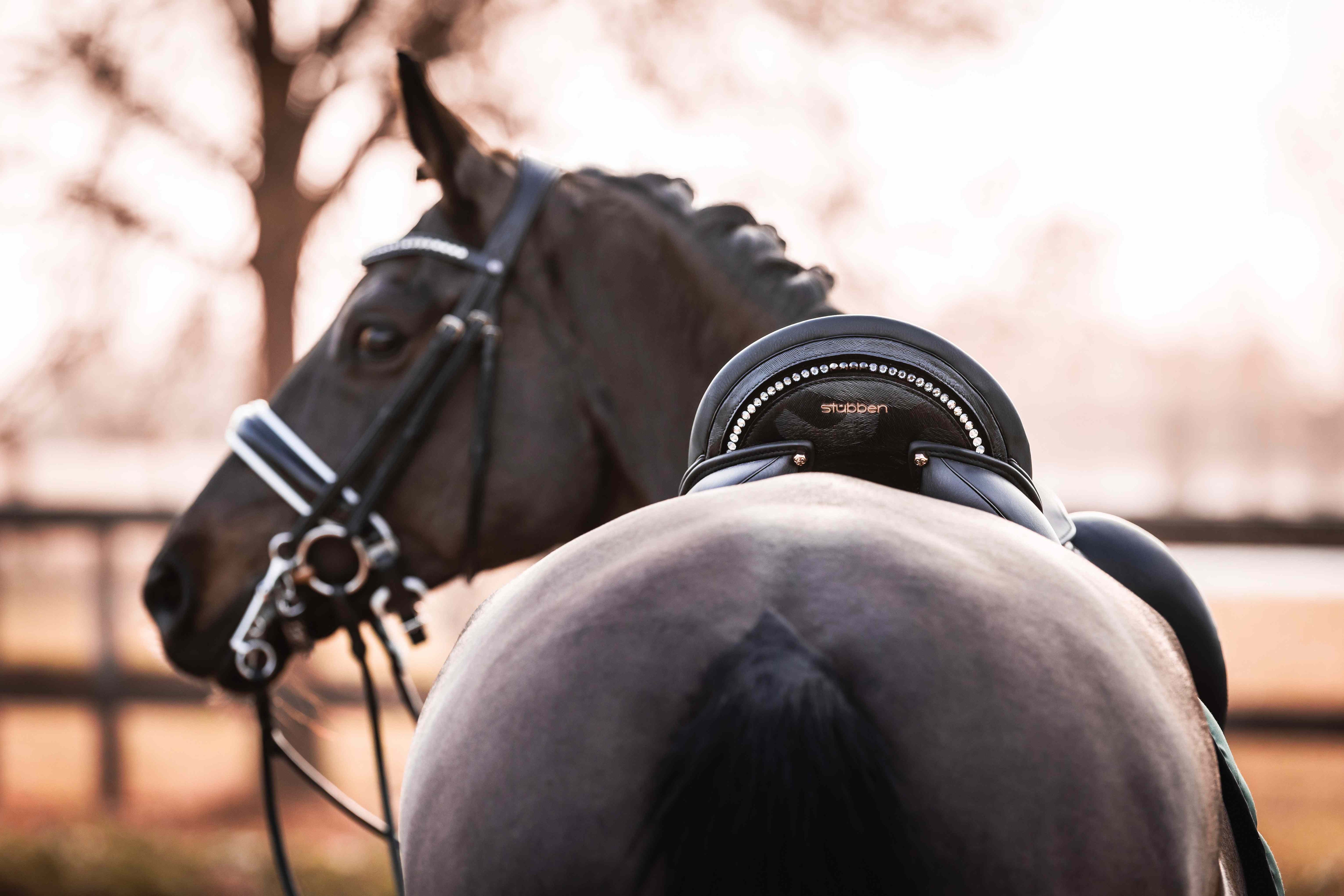 Selle de dressage Centurion II