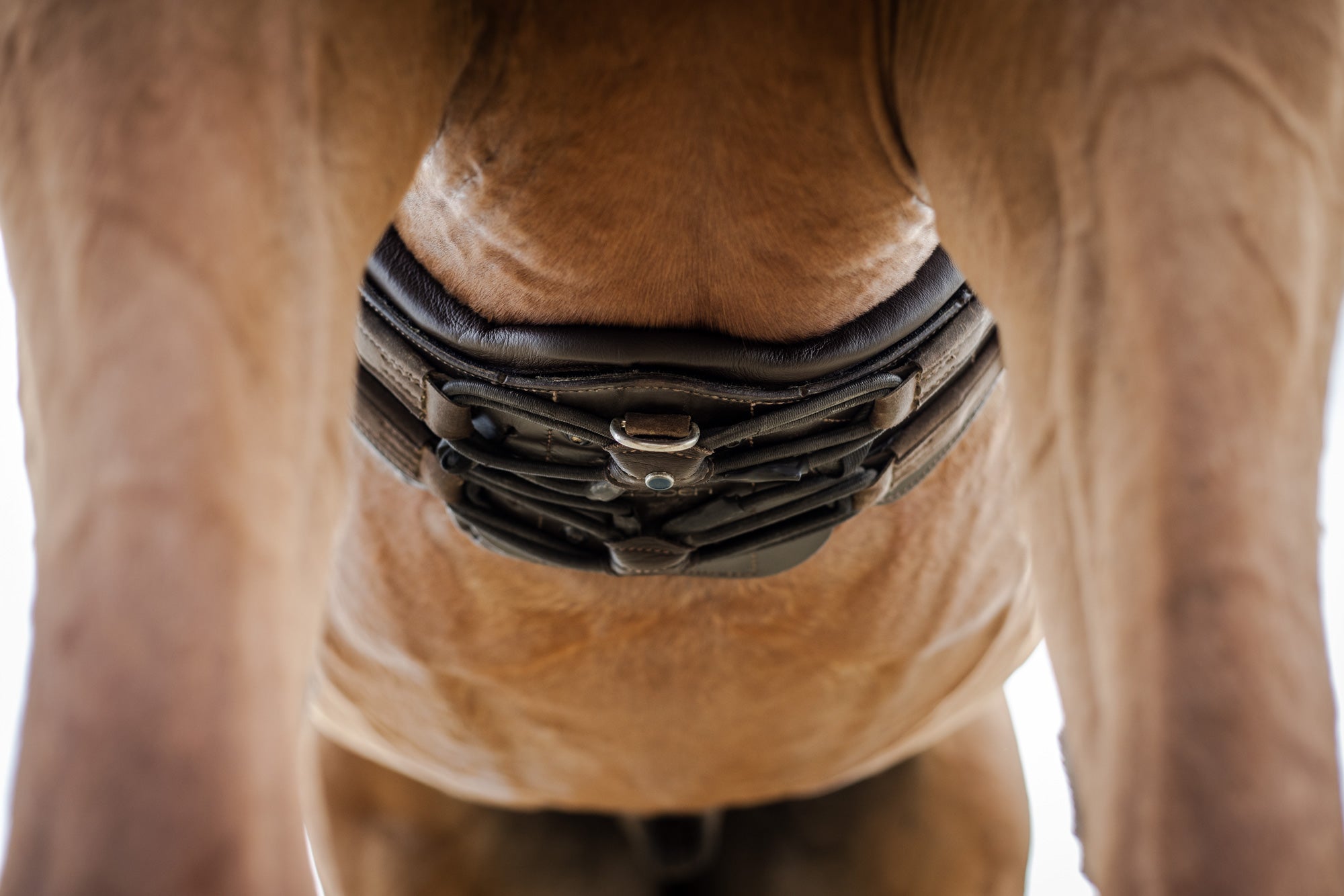 Equi-Soft® Saddle Girth