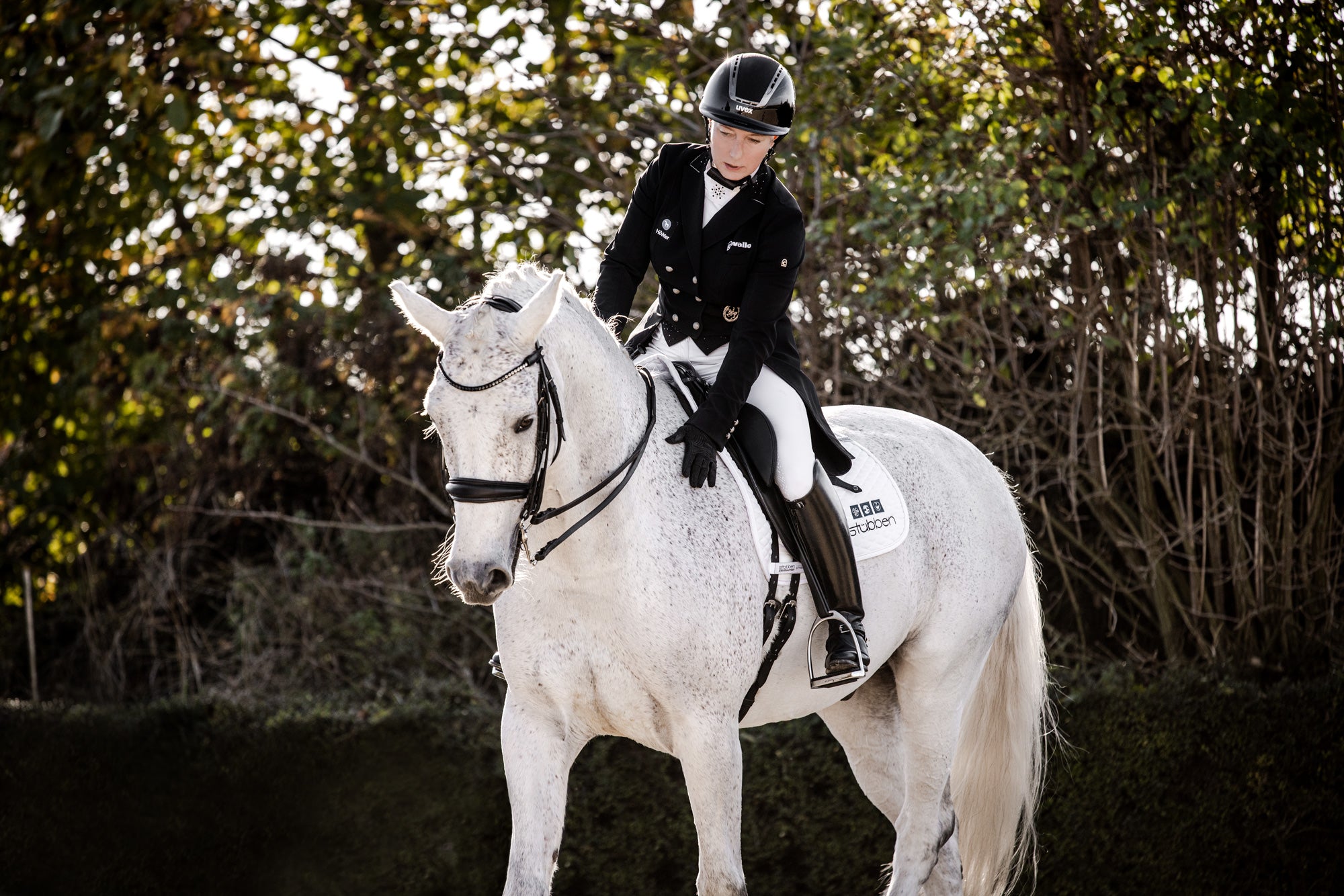 Snaffle Bridle Switch with Slide&Lock