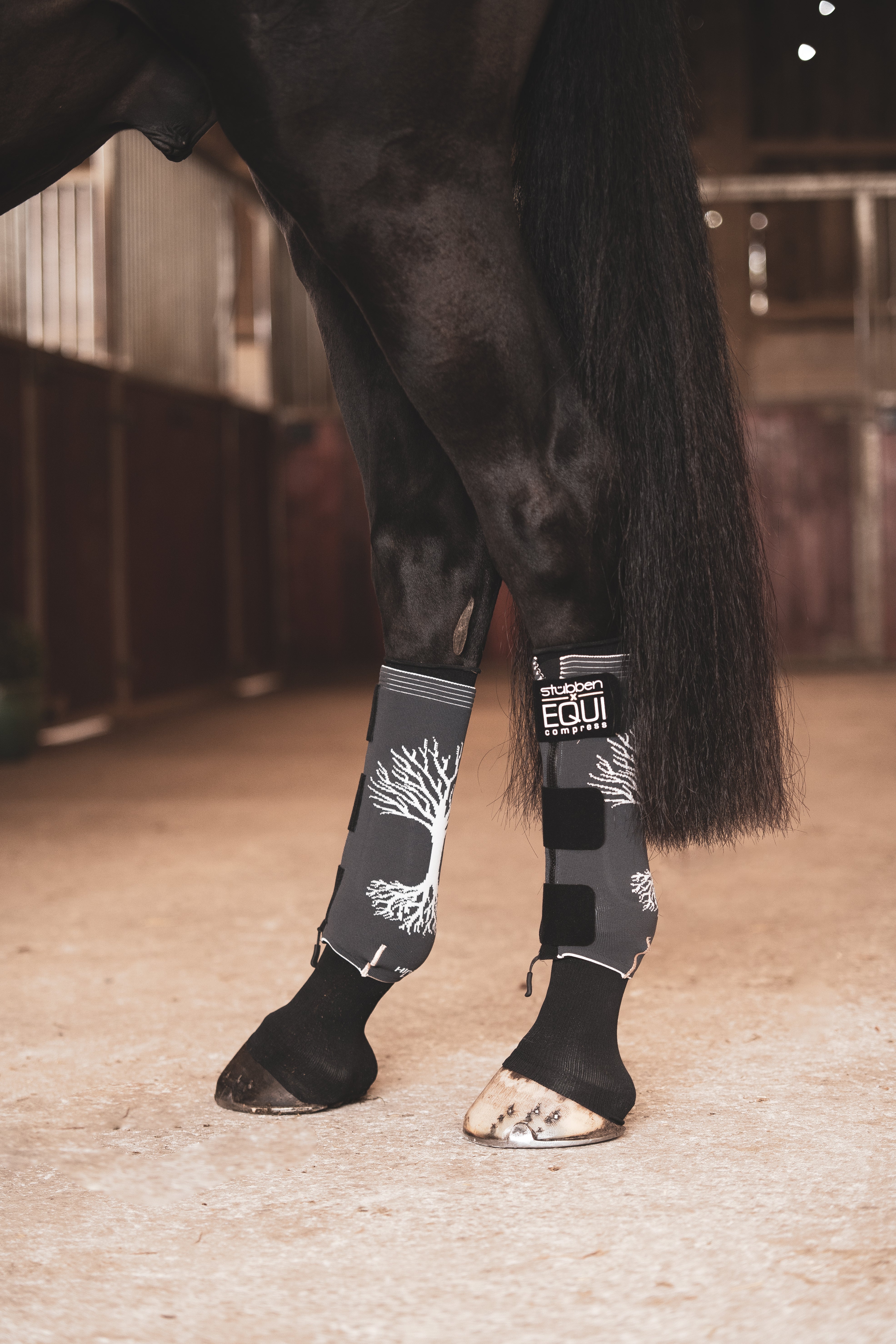 EQUI Compress Set Hinterbeine