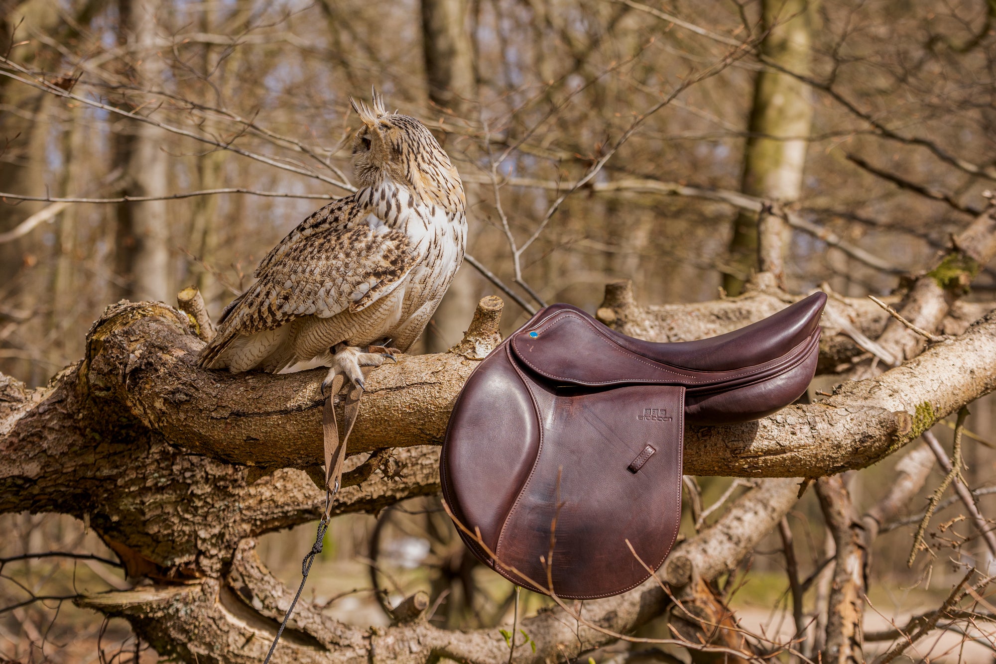 Jumping Saddle Altitude