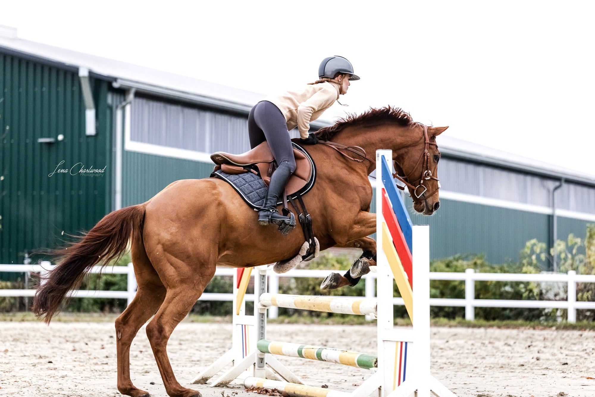 Selle REV avec quartiers