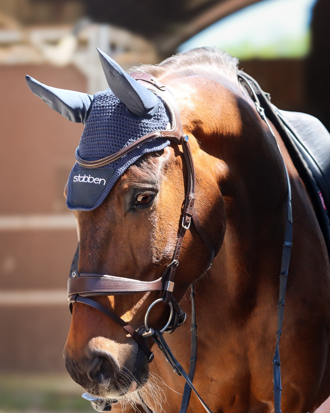 Bridle Freedom II Slide&Lock