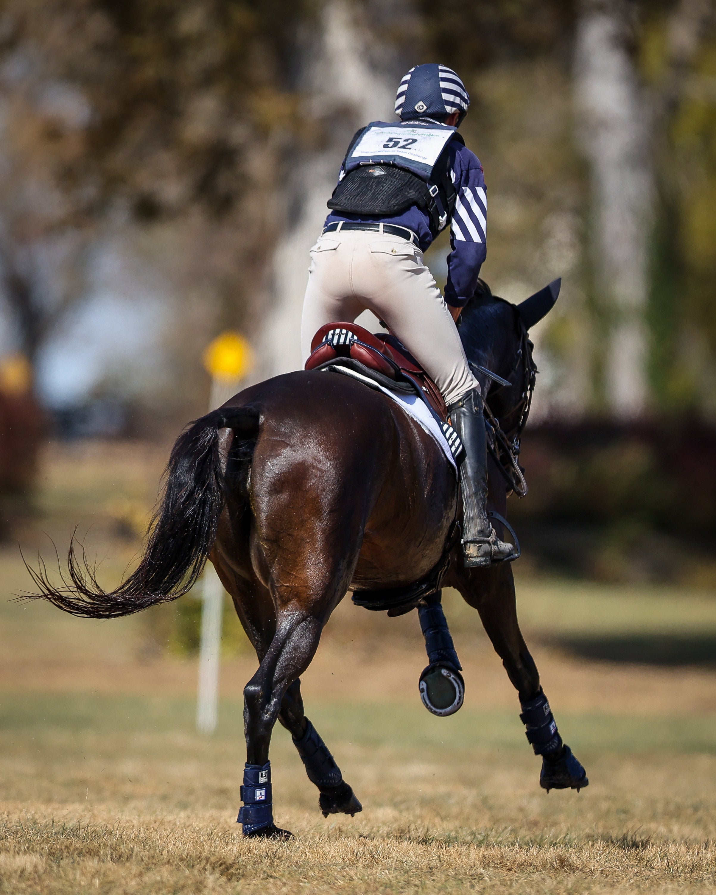 Jumping Saddle Zaria Optimum