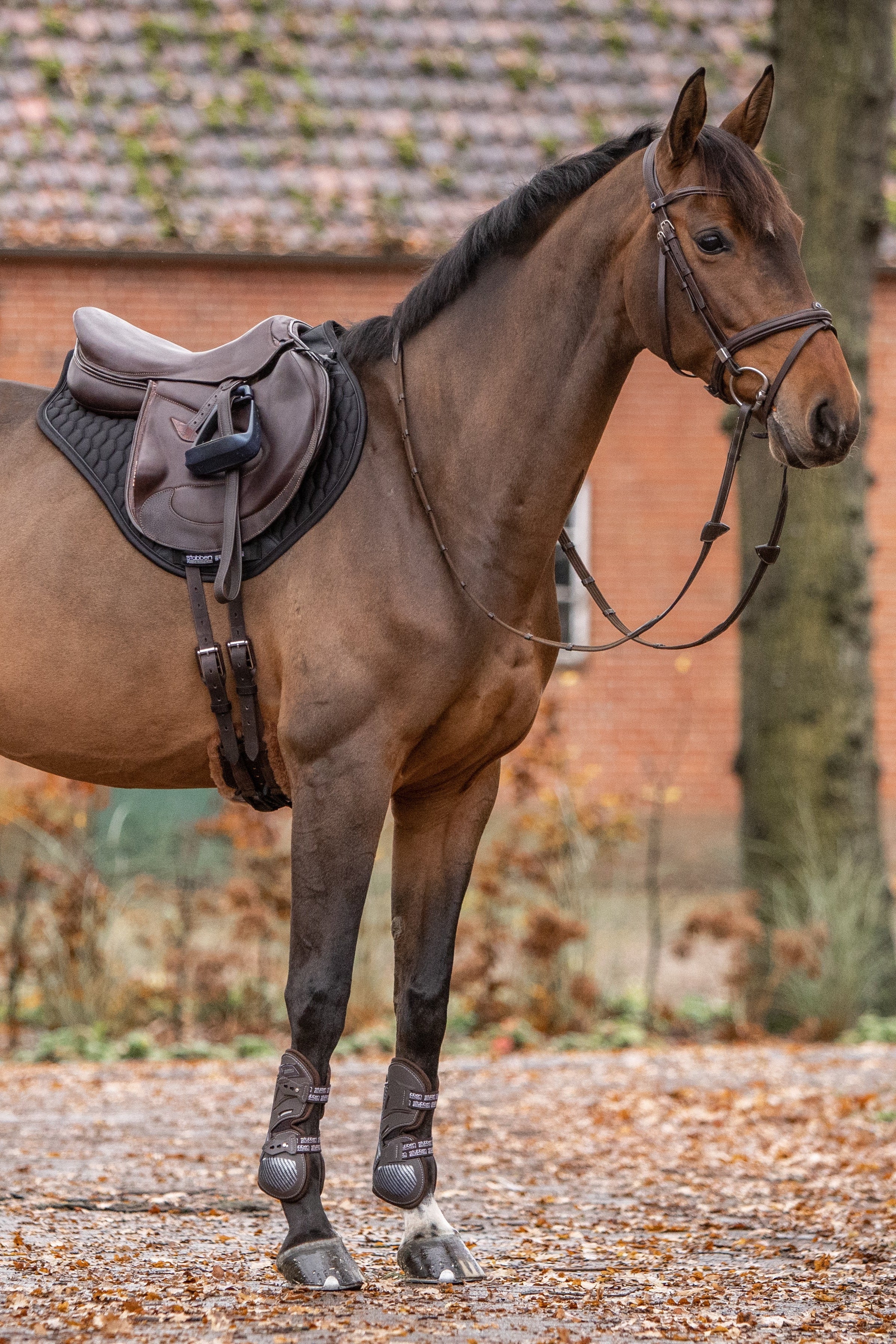 Hybrid Carbon Tendon Boots