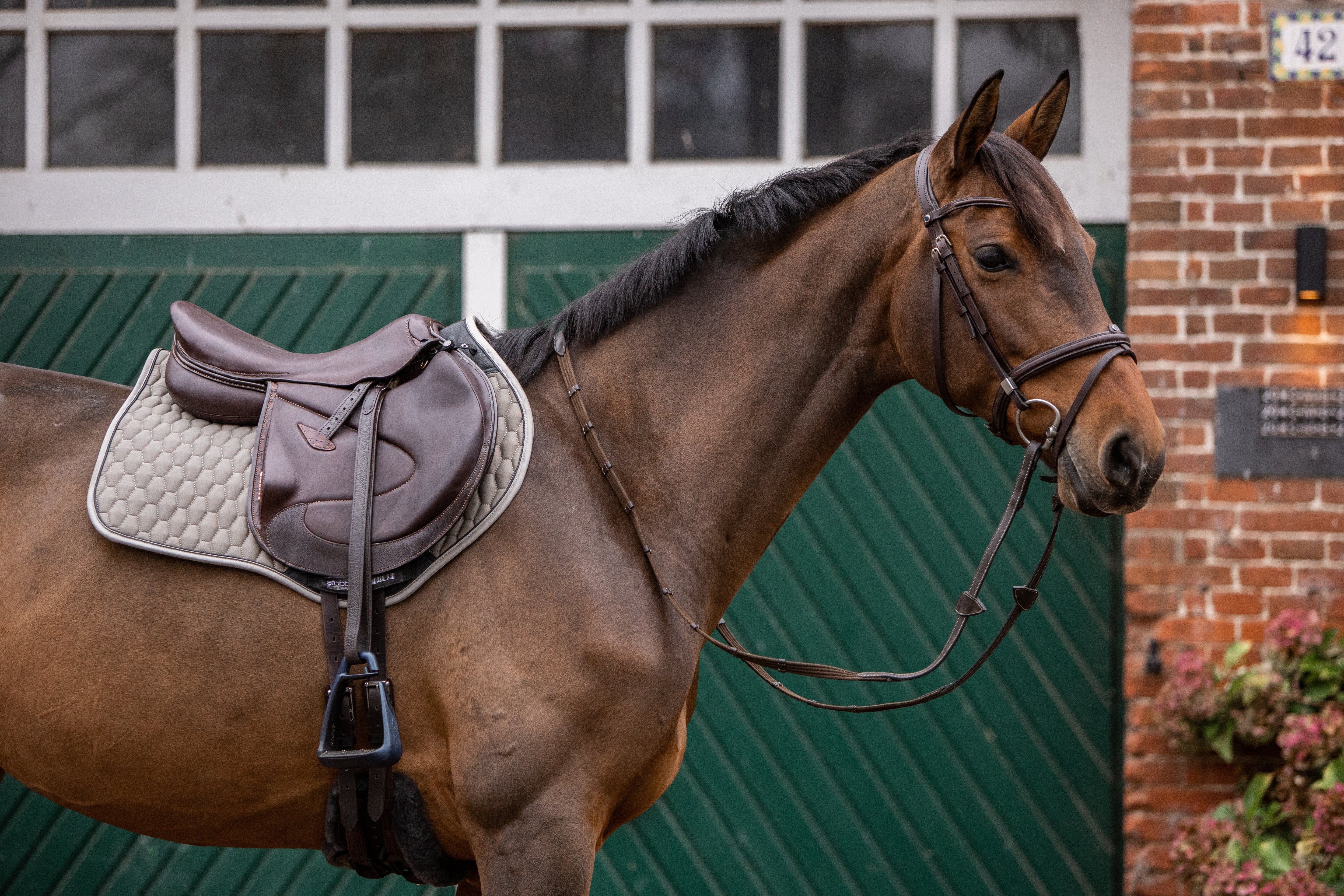 Trensenzaum Pro-Jump mit Slide&Lock