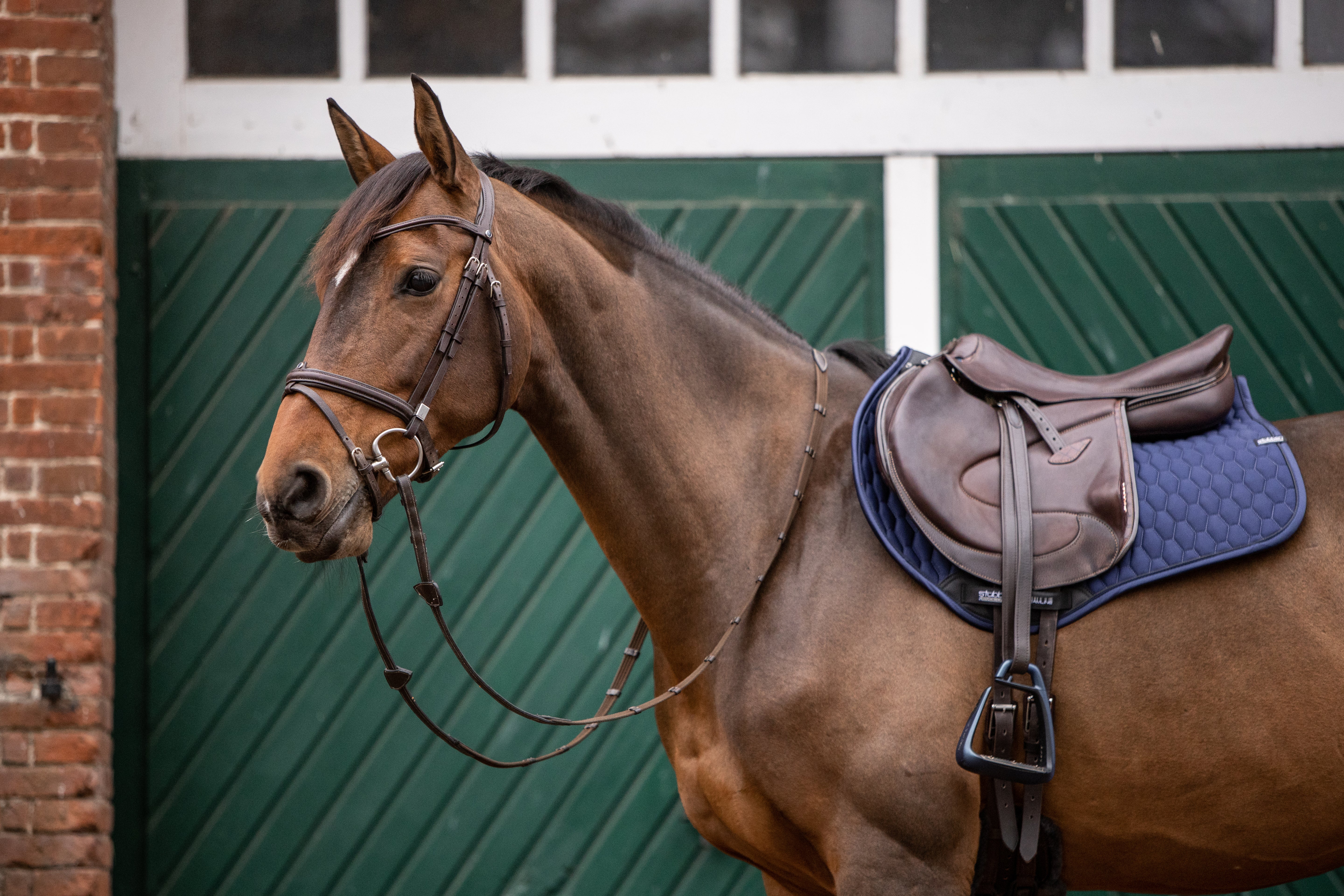 Tapis de dressage Streamline GEN2