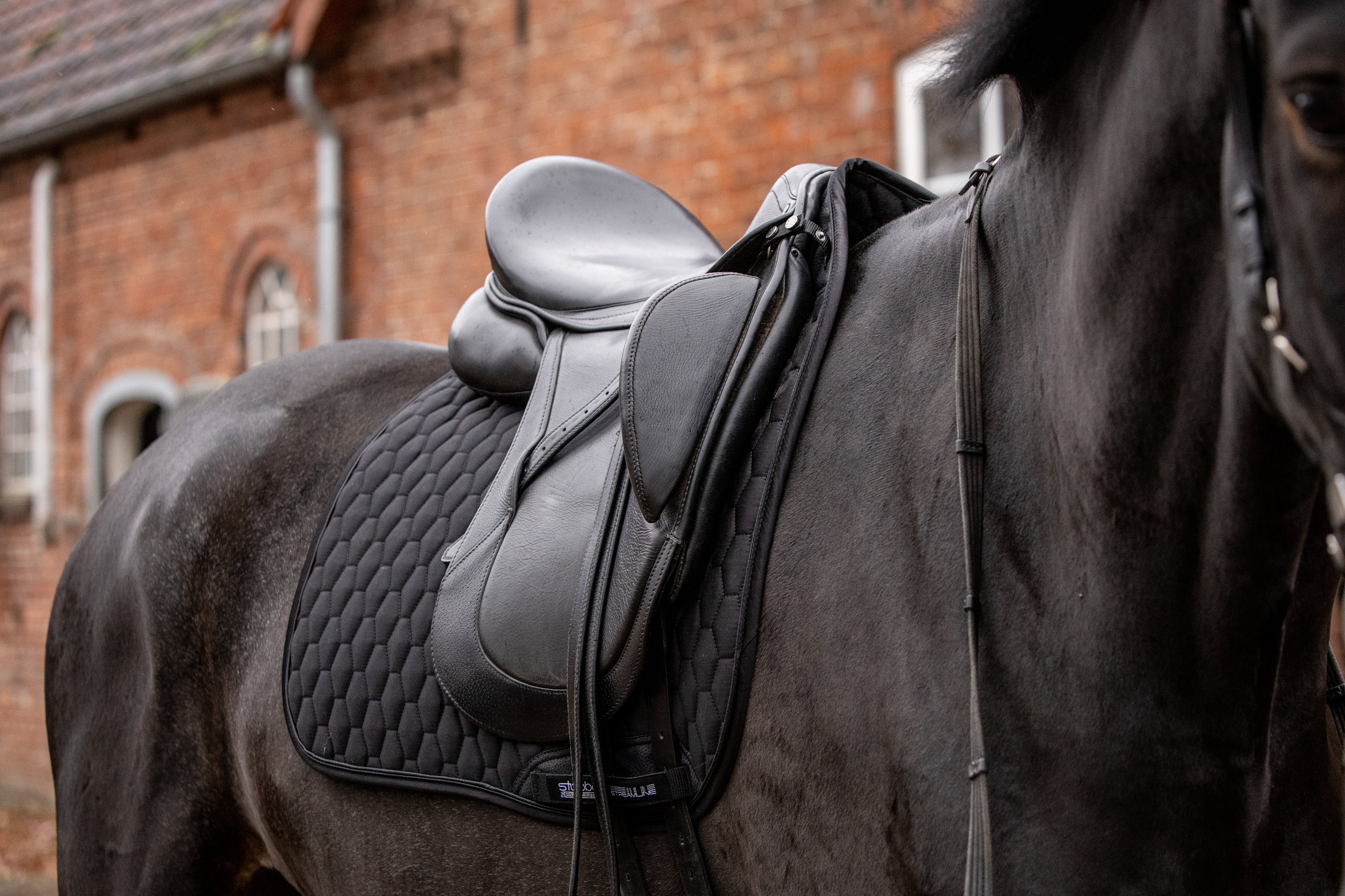 Tapis de dressage Streamline GEN2