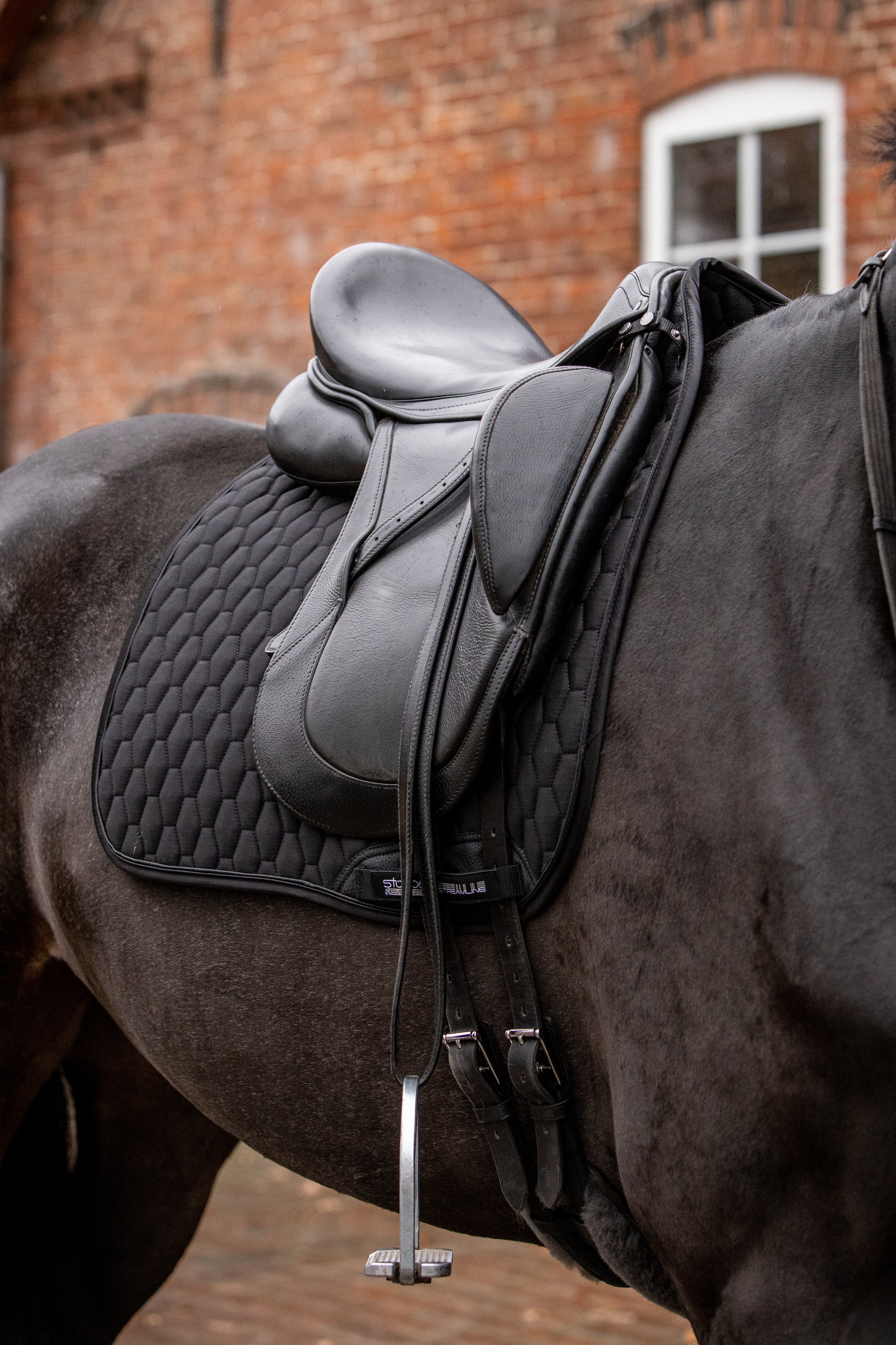 Tapis de dressage Streamline GEN2