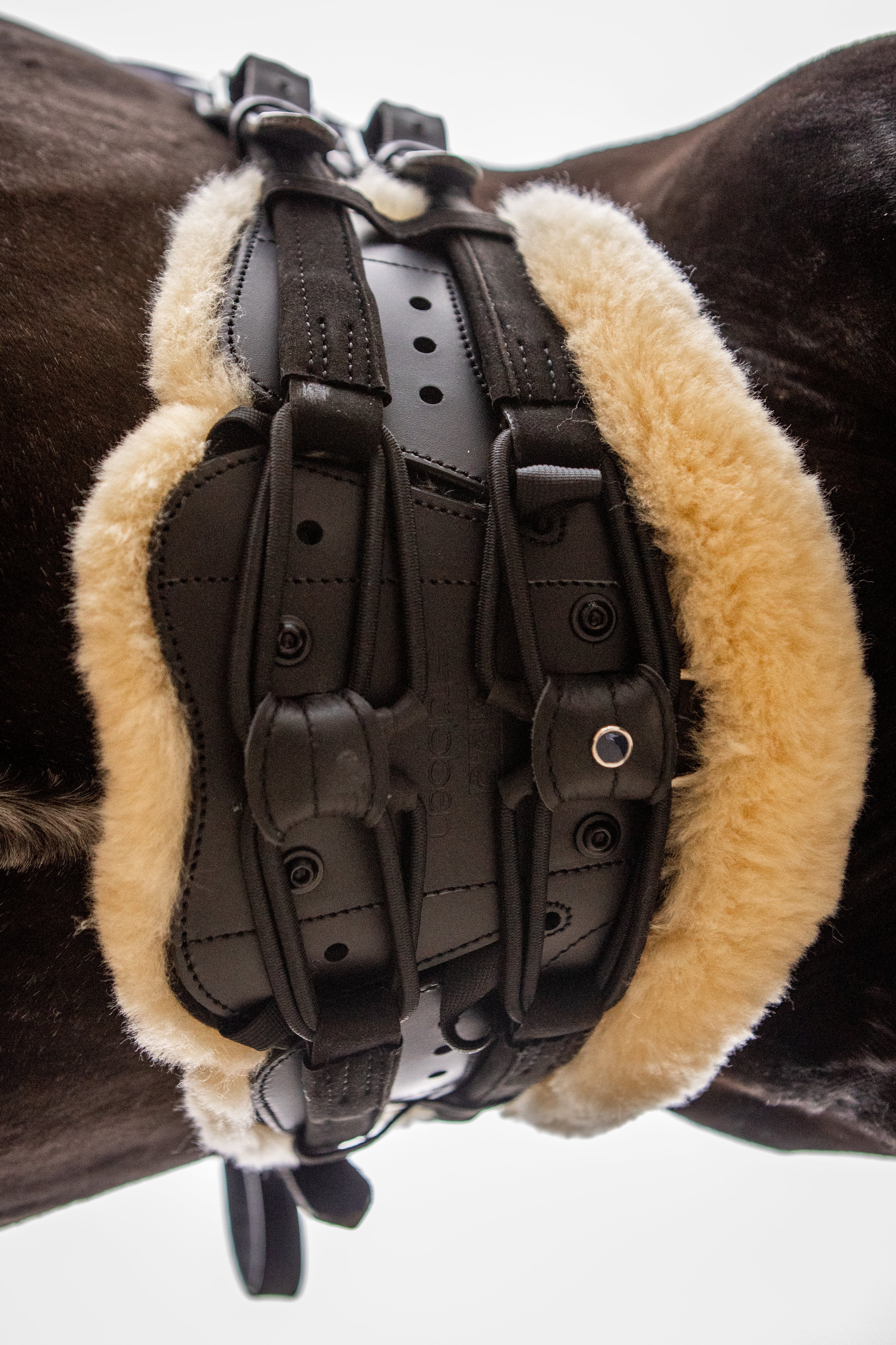 Rembourrage pour sangle Equi-Soft® by Mattes