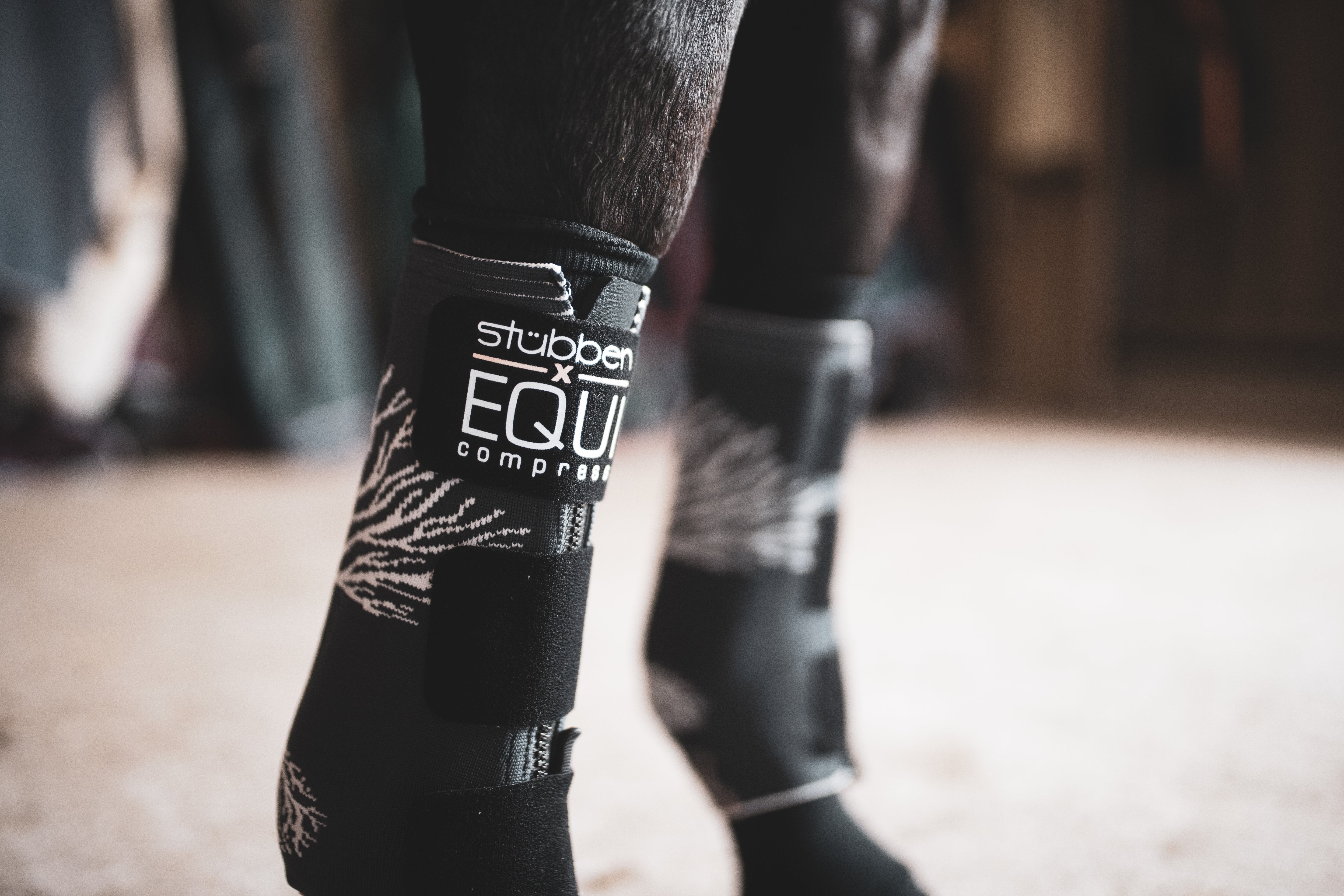 EQUI Compress Set Vorderbeine