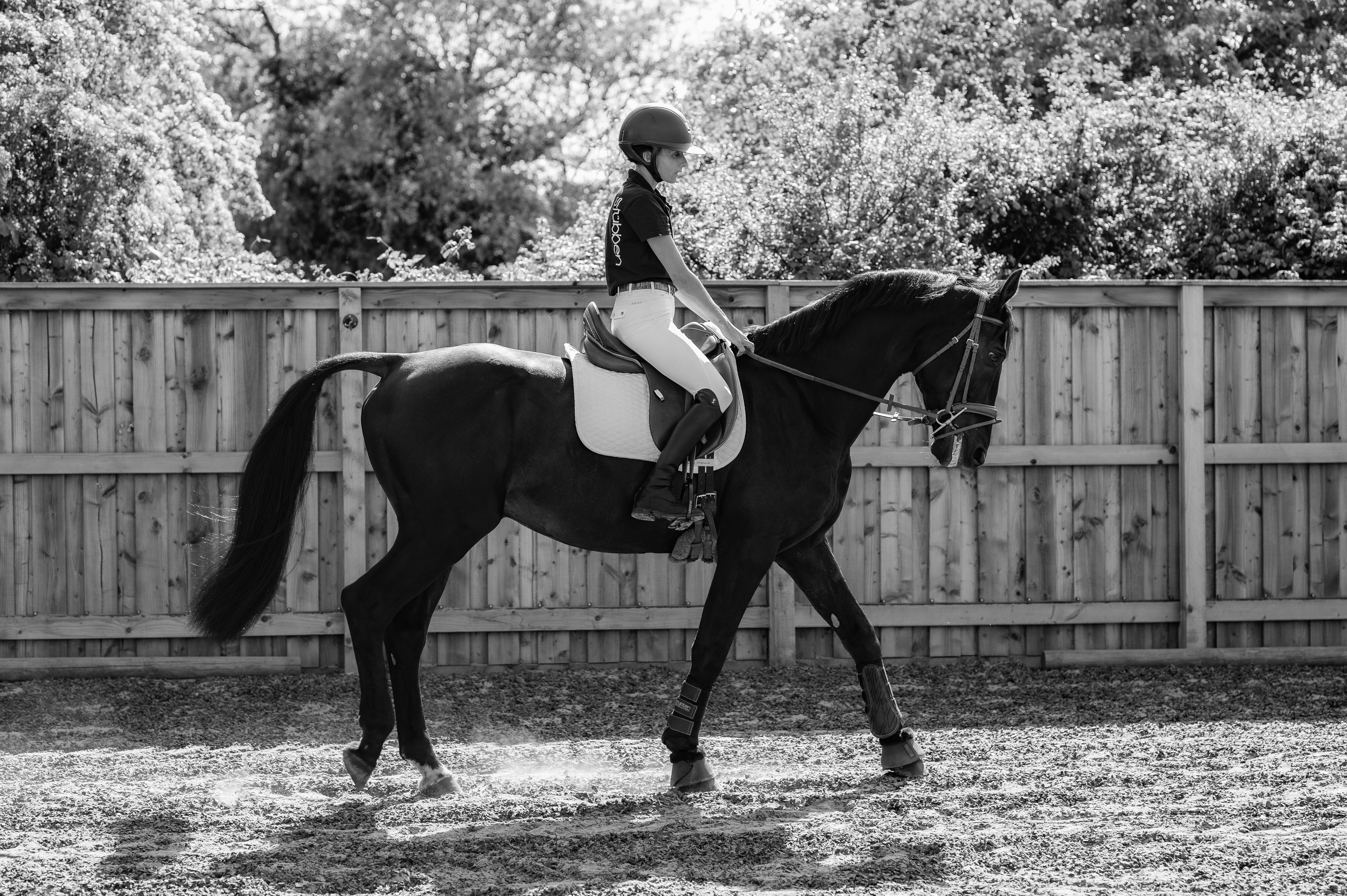 Streamline Lammfellschabracke Dressur