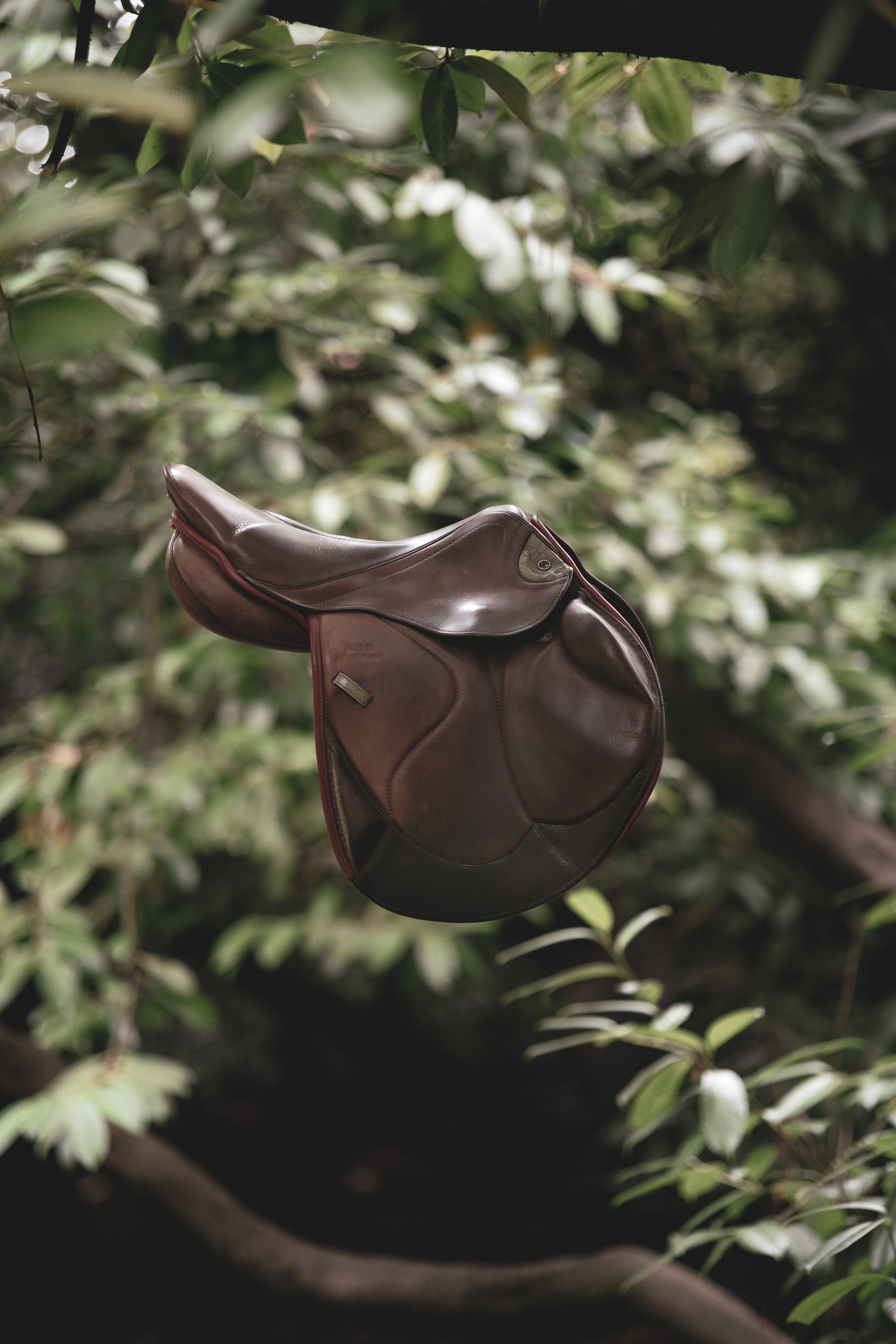Jumping Saddle Zaria Optimum – Stübben