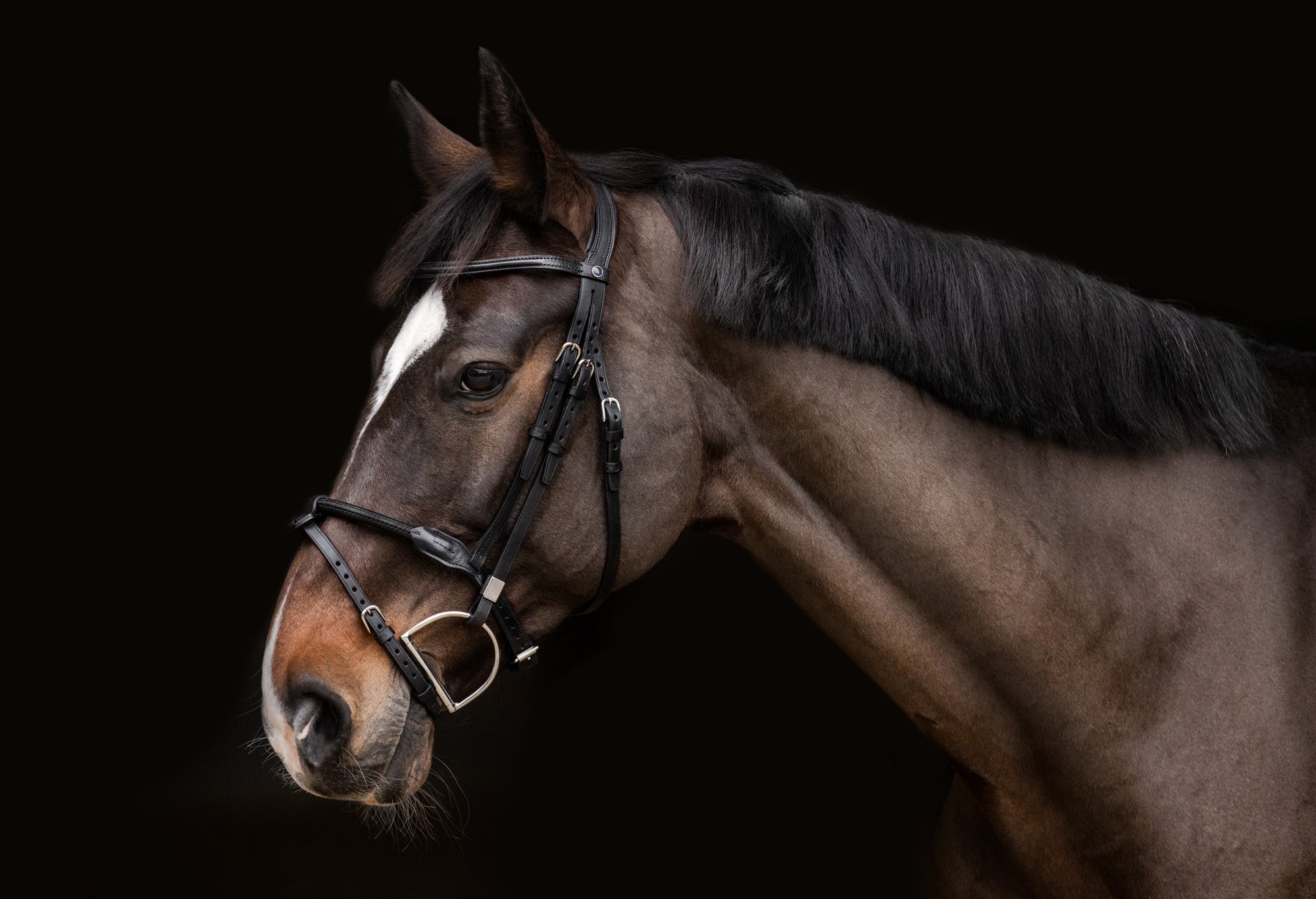 Mexican noseband 2300 Leitrim