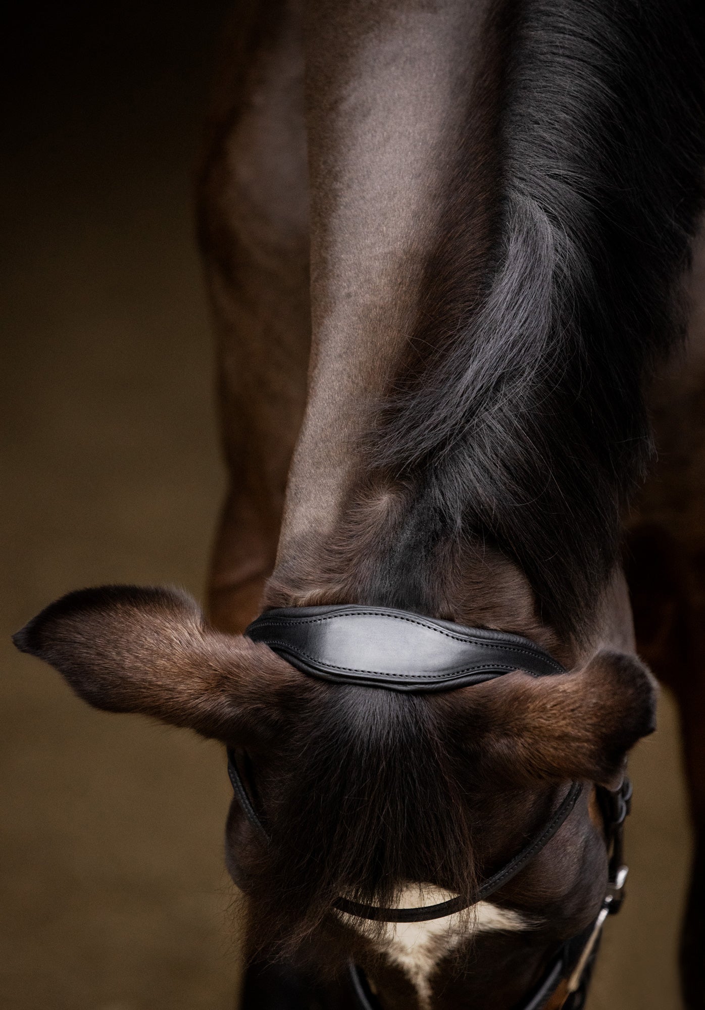 Mexican noseband 2300 Leitrim