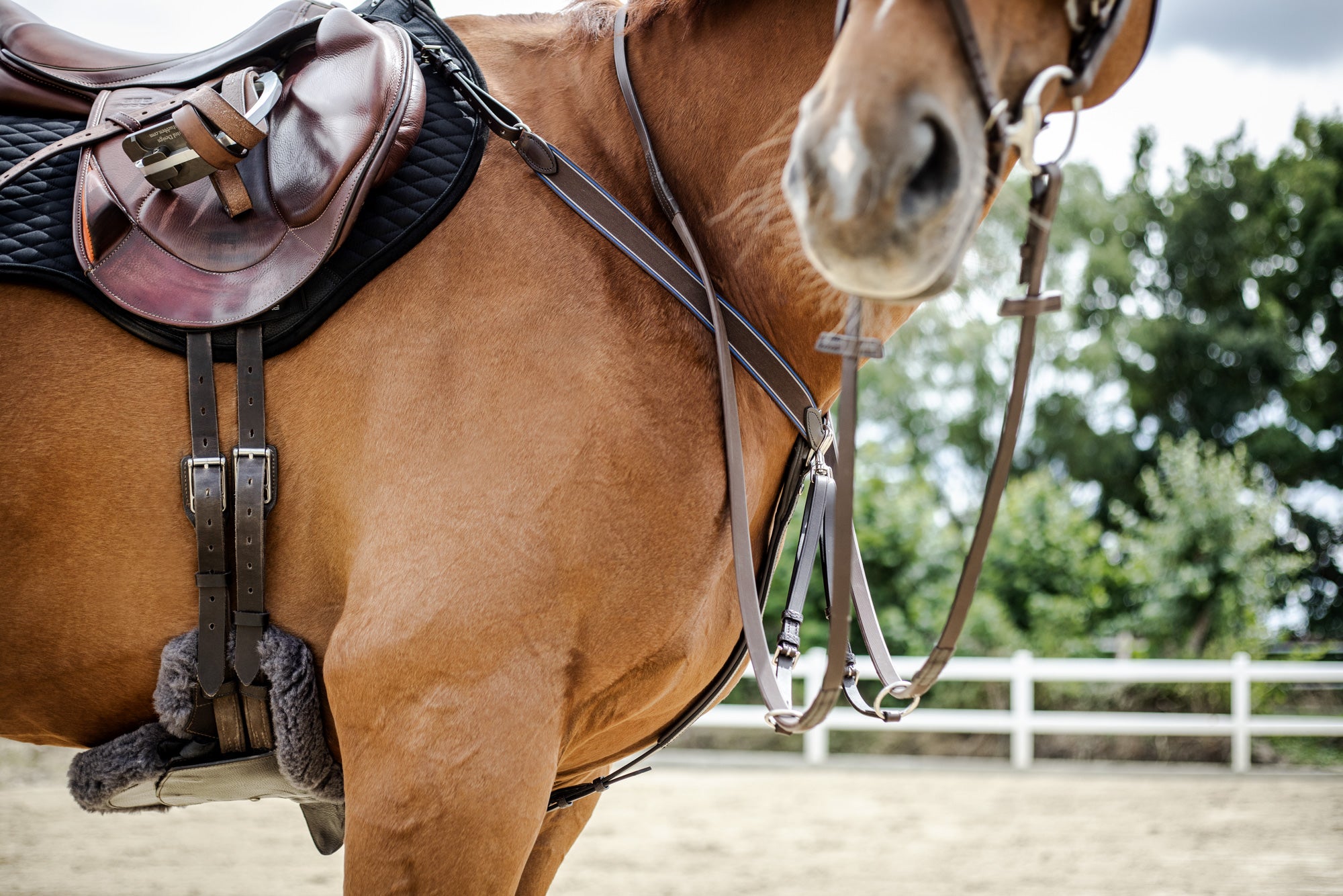 Equi-Soft® Stollenschutzgurt