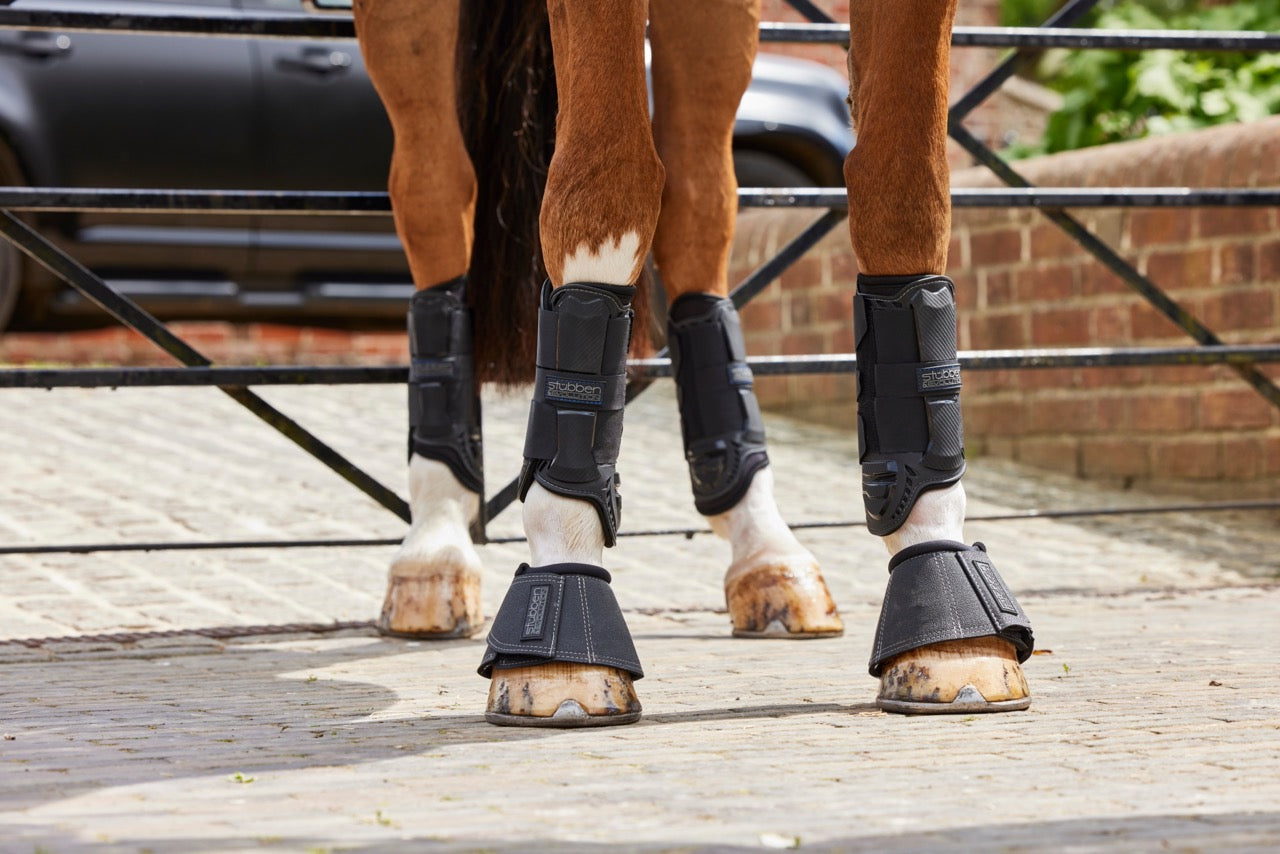4 Pièces Bottes -Mouches en pour Cheval Bottes de Cheval en R1227 4 Pièces Bottes -Mouches en pour Cheval Bottes de Cheval en R1227