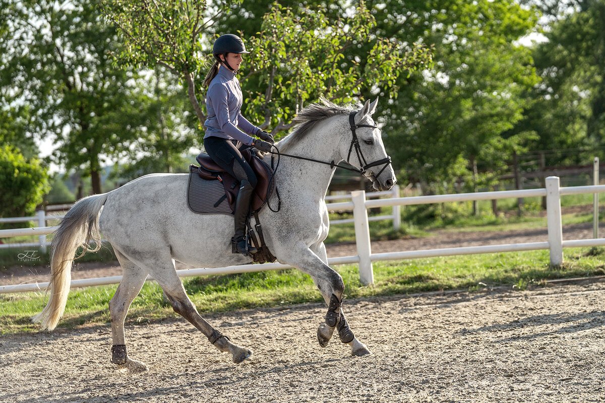 Selle REV avec quartiers