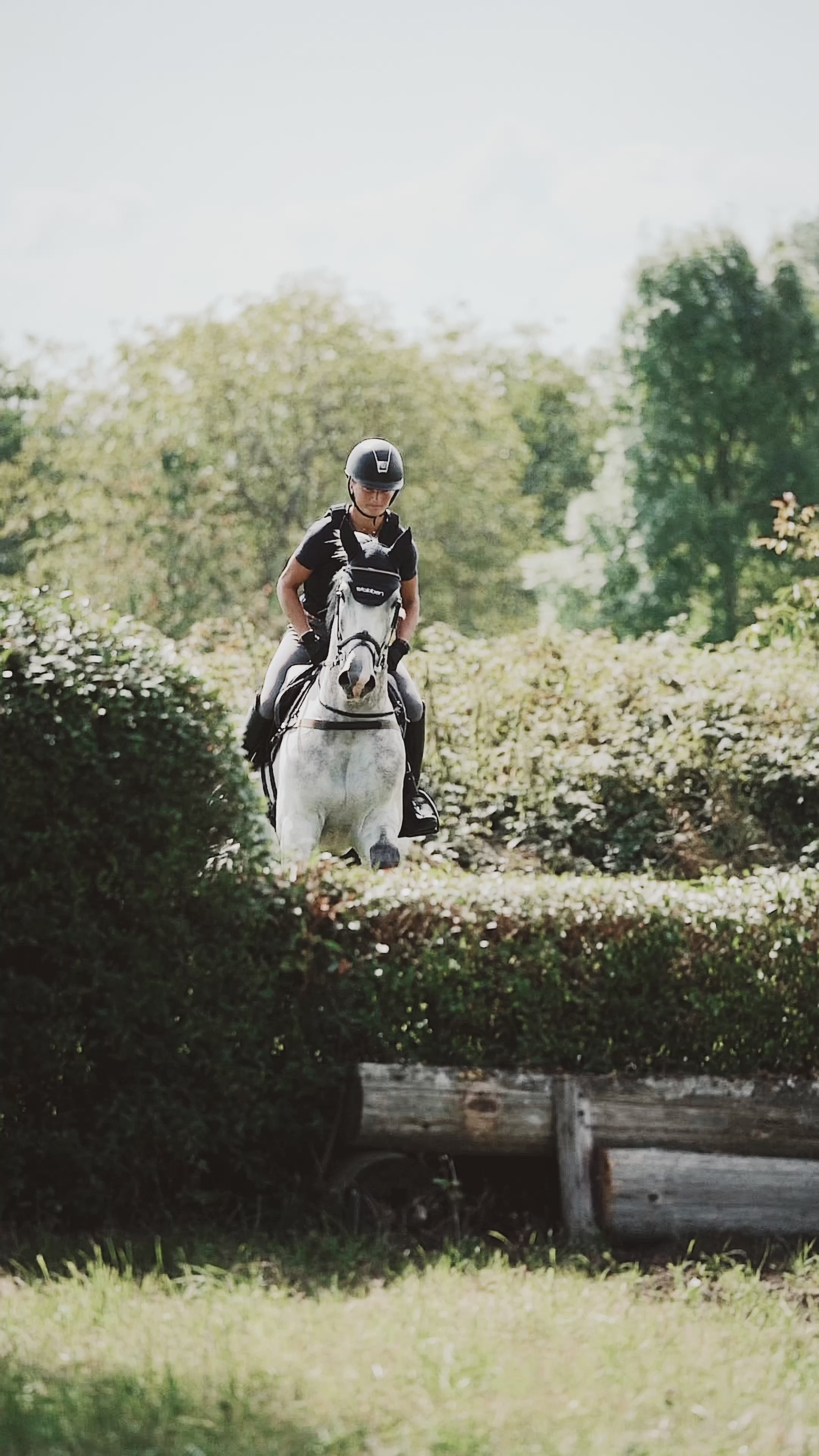 Hybrid XC Gamaschen Vorderbeine