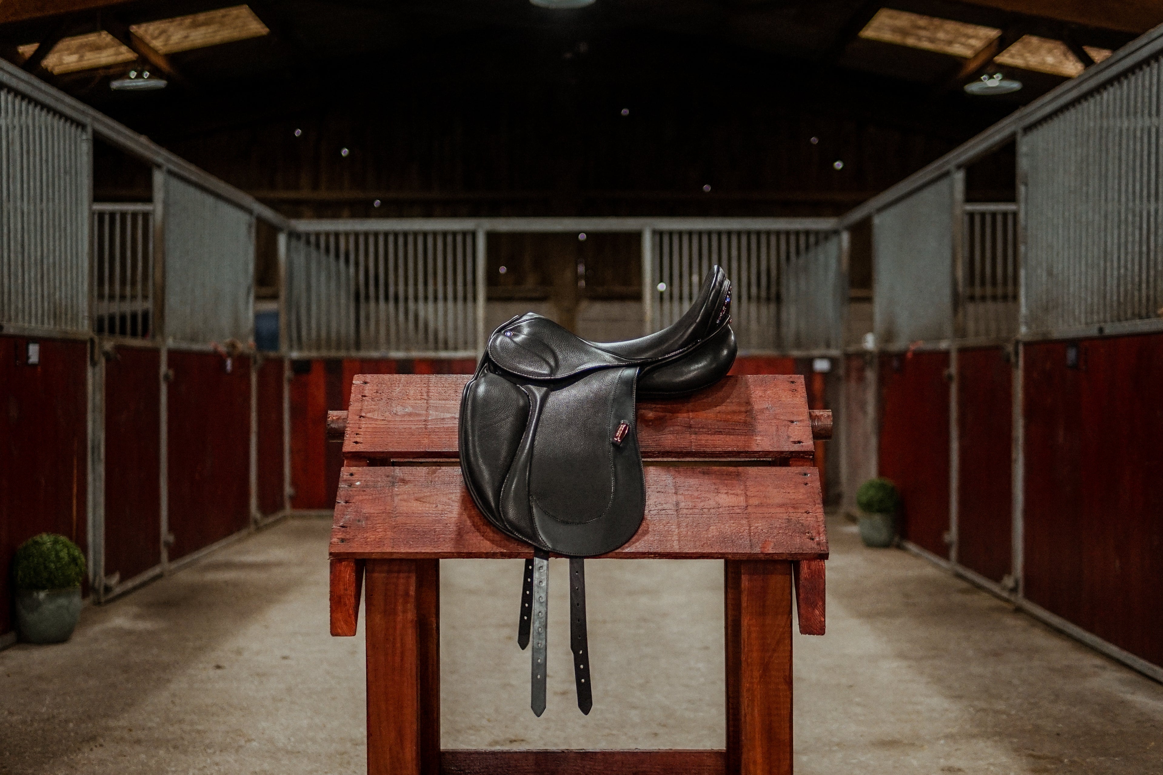 Selle de dressage Aramis II Grand Prix